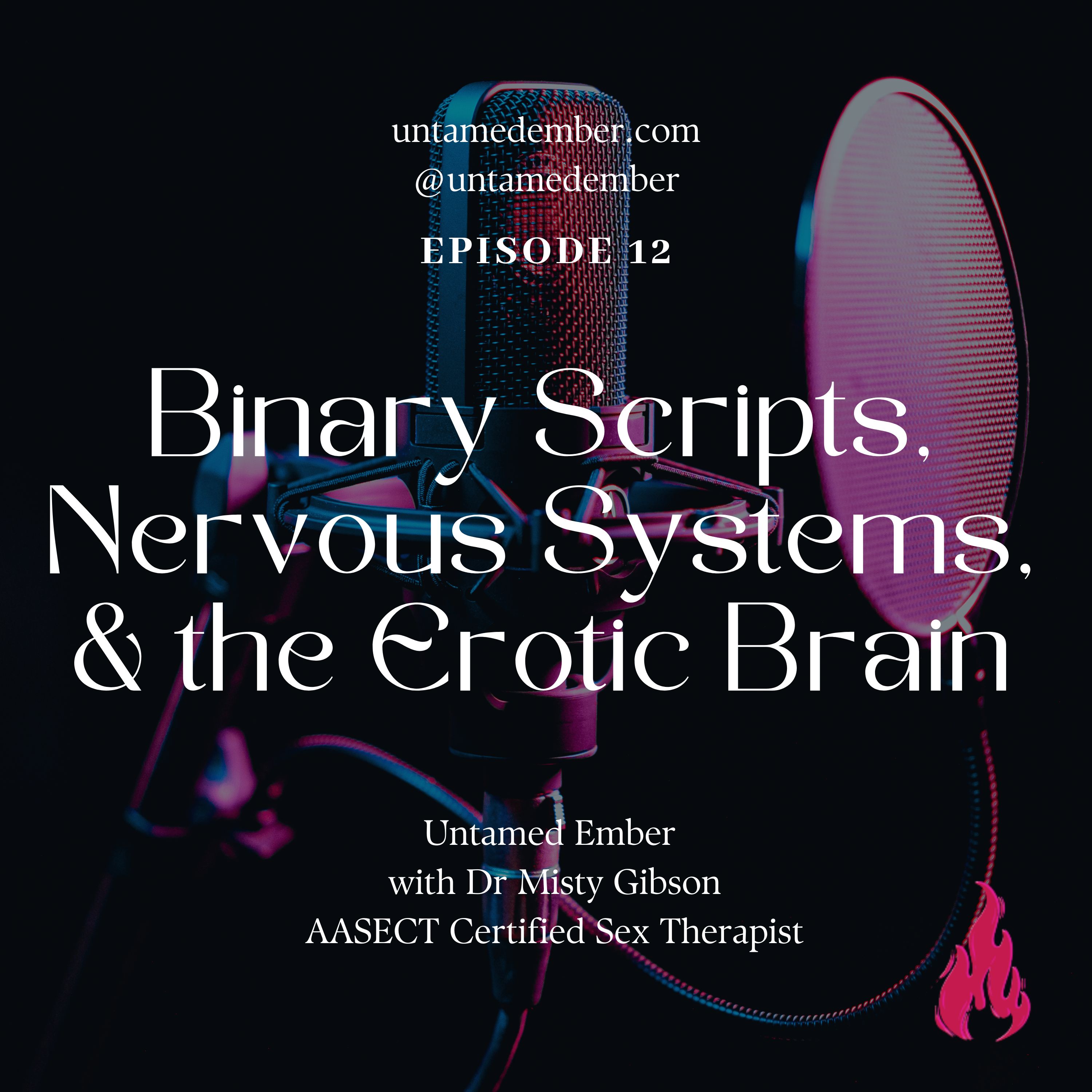 Binary Scripts, Nervous Systems, & the Erotic Brain: Why You’re Not “Broken” for Wanting More