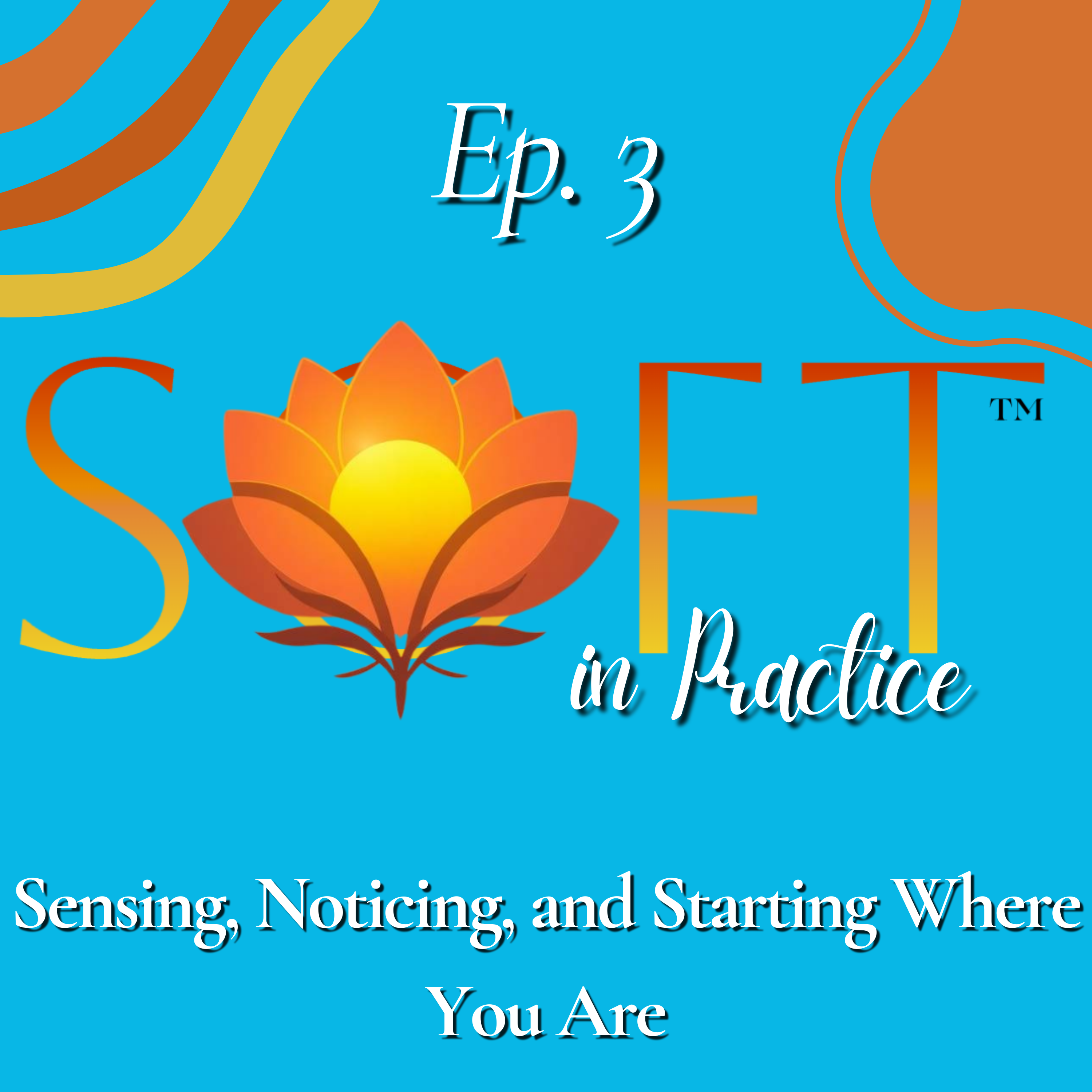 Sensing, Noticing, and Starting Where You Are