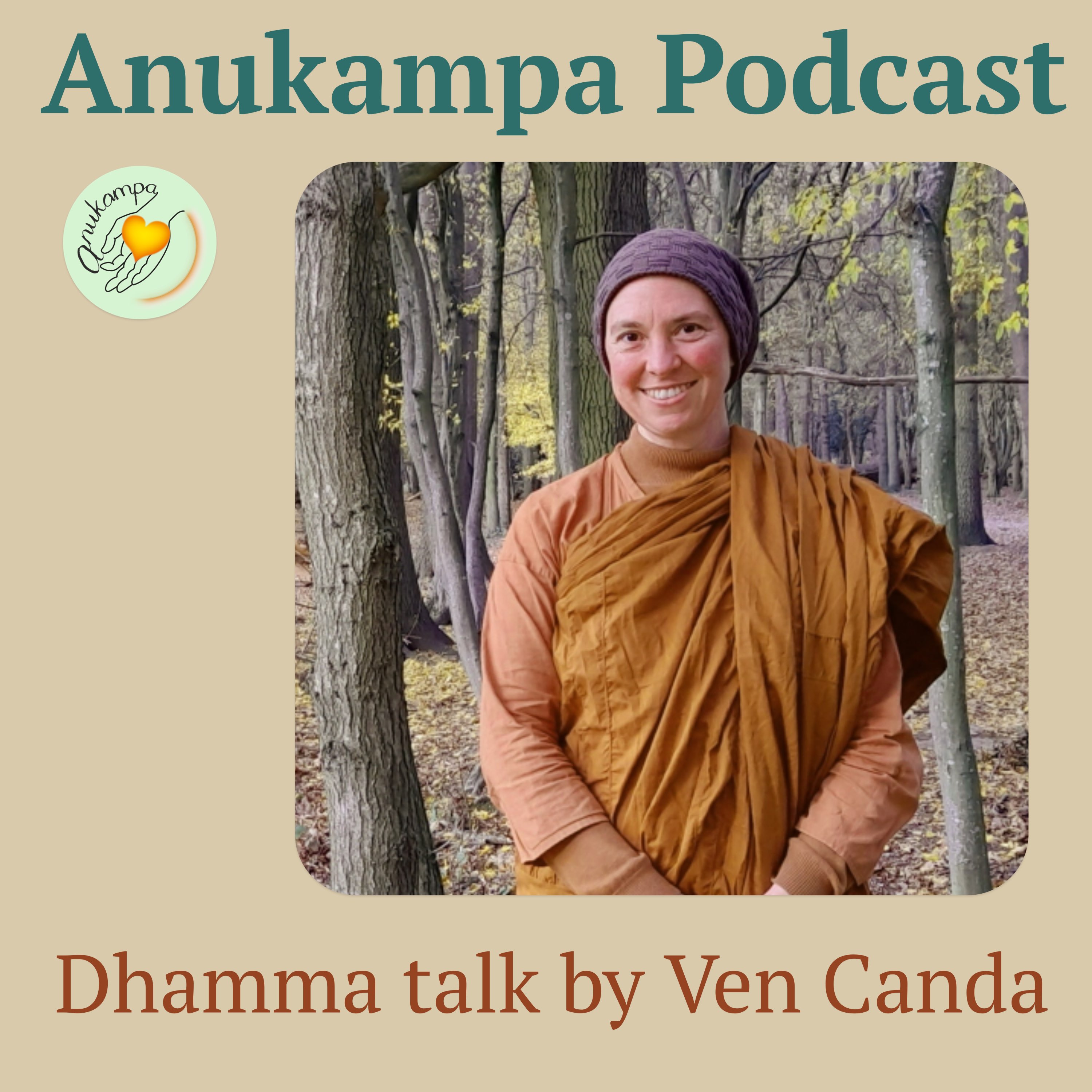 Dhamma talk - Breath meditation - Anukampa Grove Afternoon Retreat Pt1