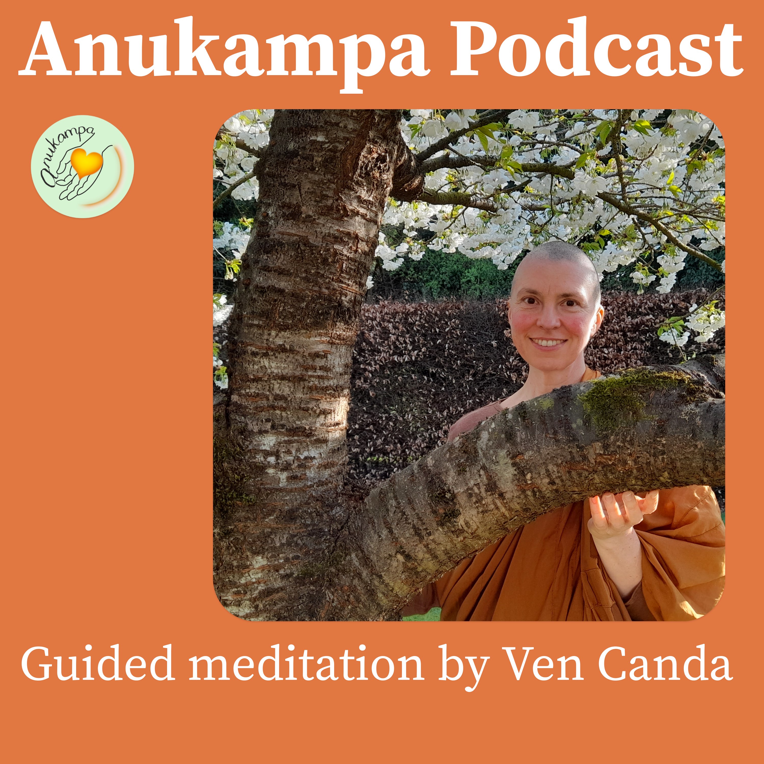 Guided meditation - Blessings & Gratitude on Anukampa Grove's 1st Anniversary
