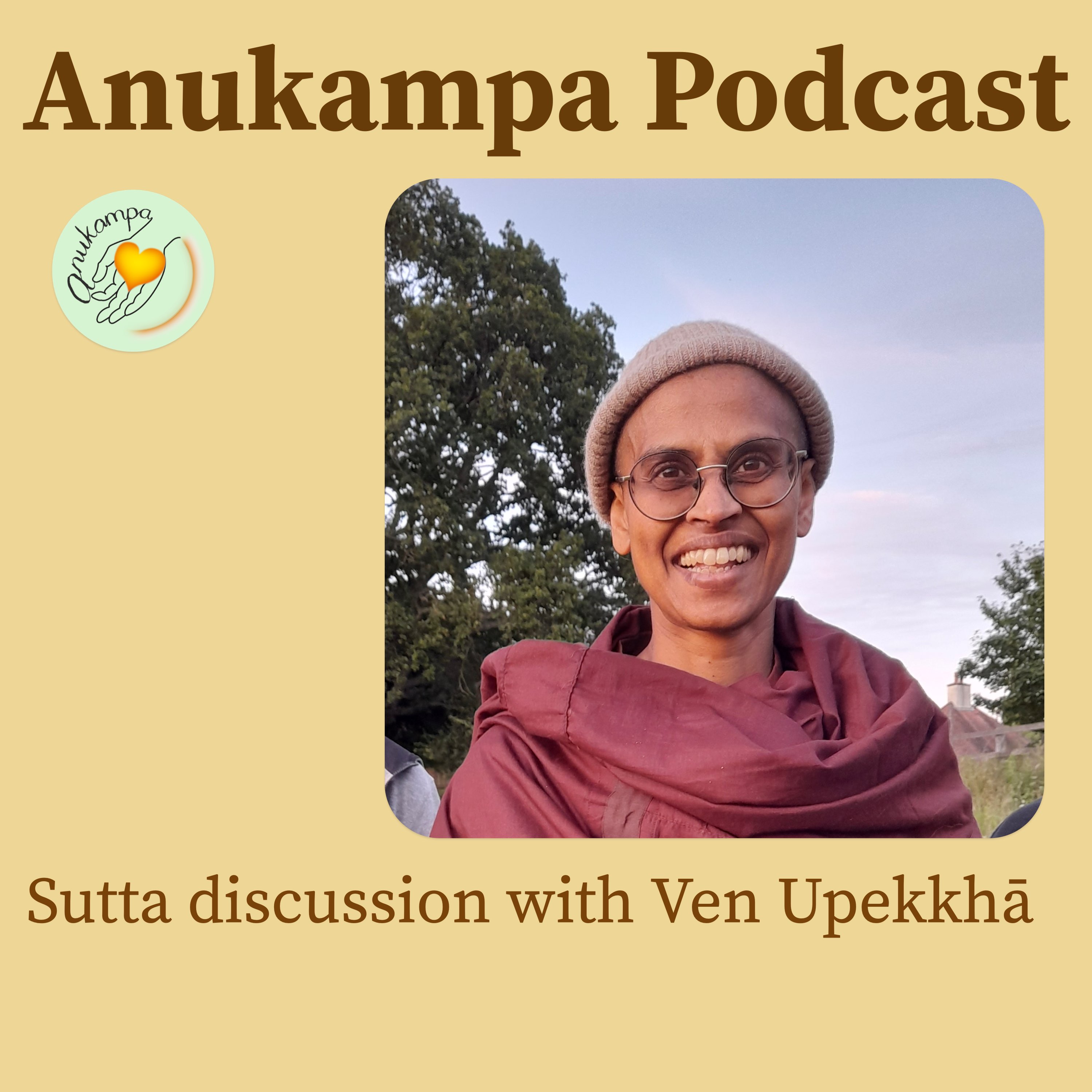 Sutta discussion - Kisagotami - Preparing for Death - Ven Upekkhā
