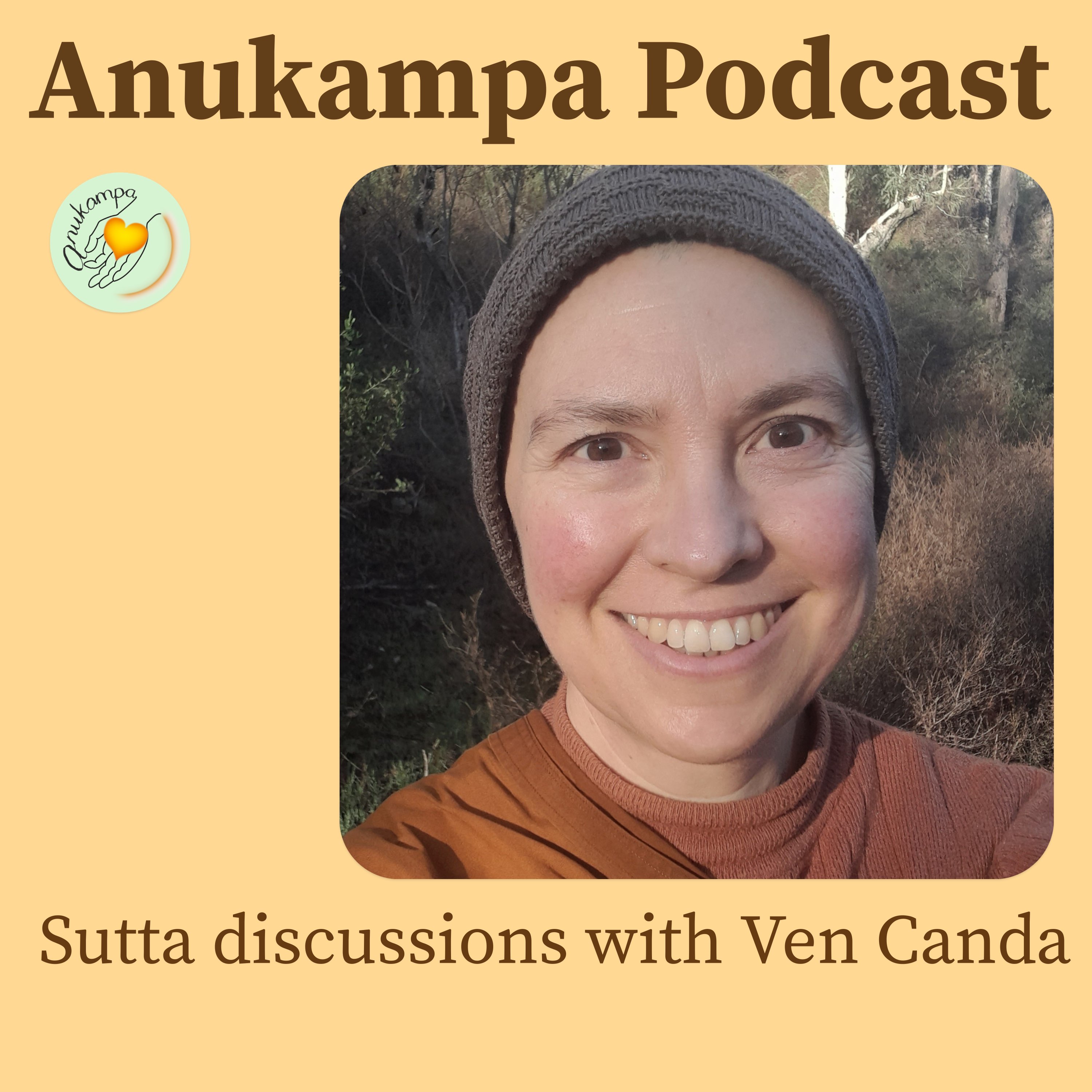 Sutta Discussion - Bring Up Your Goodness- Rejoice!