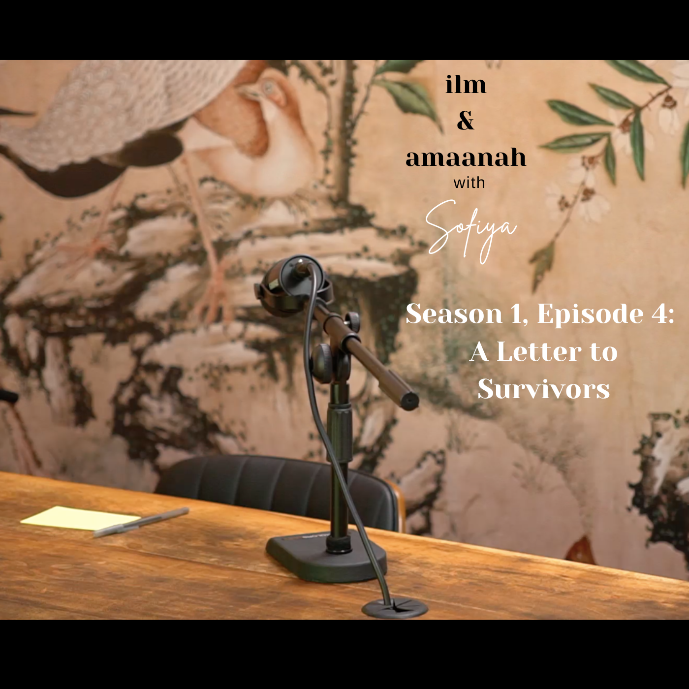 Episode Cover