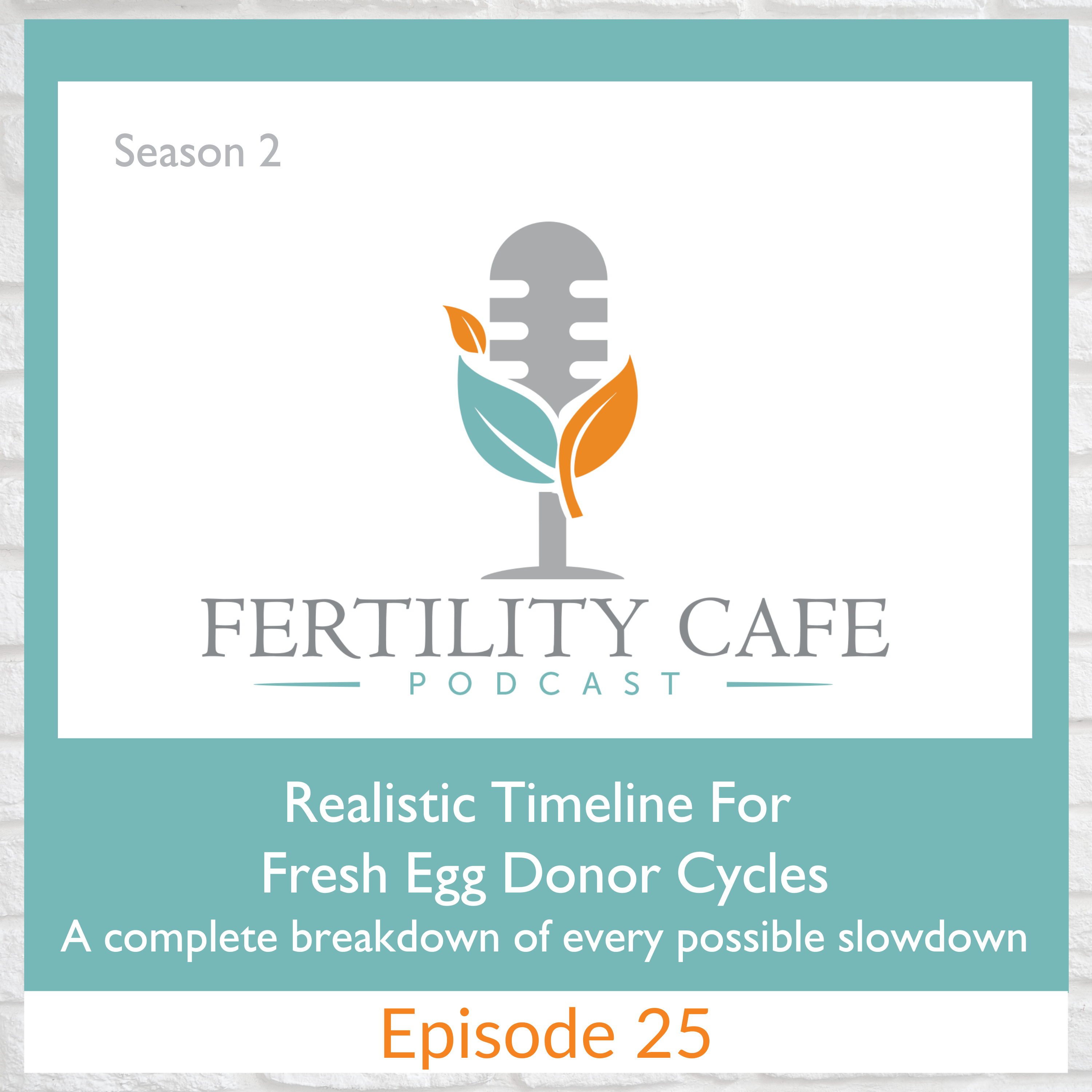 Ep. 25 | Fresh Egg Donor Cycles