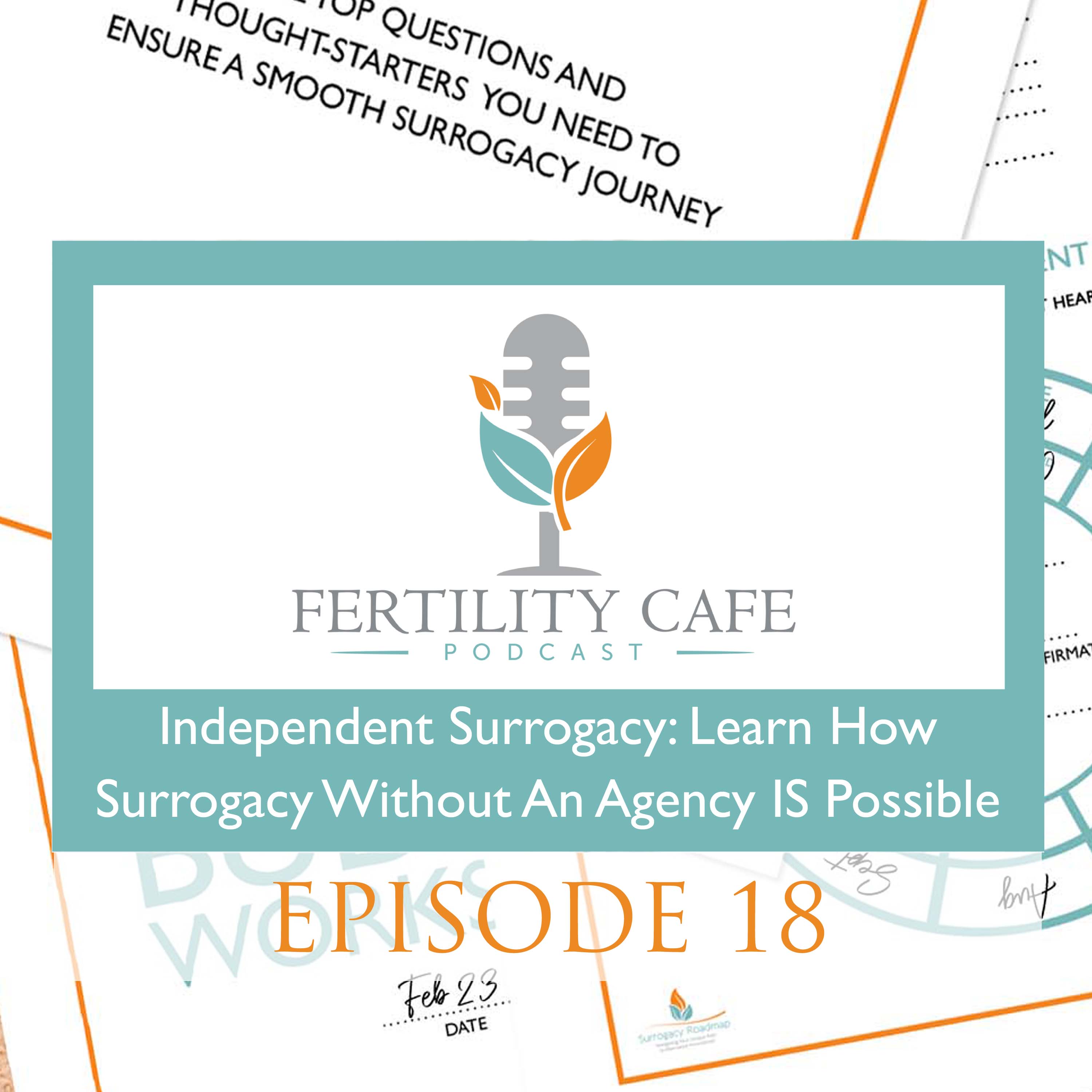 Episode Cover