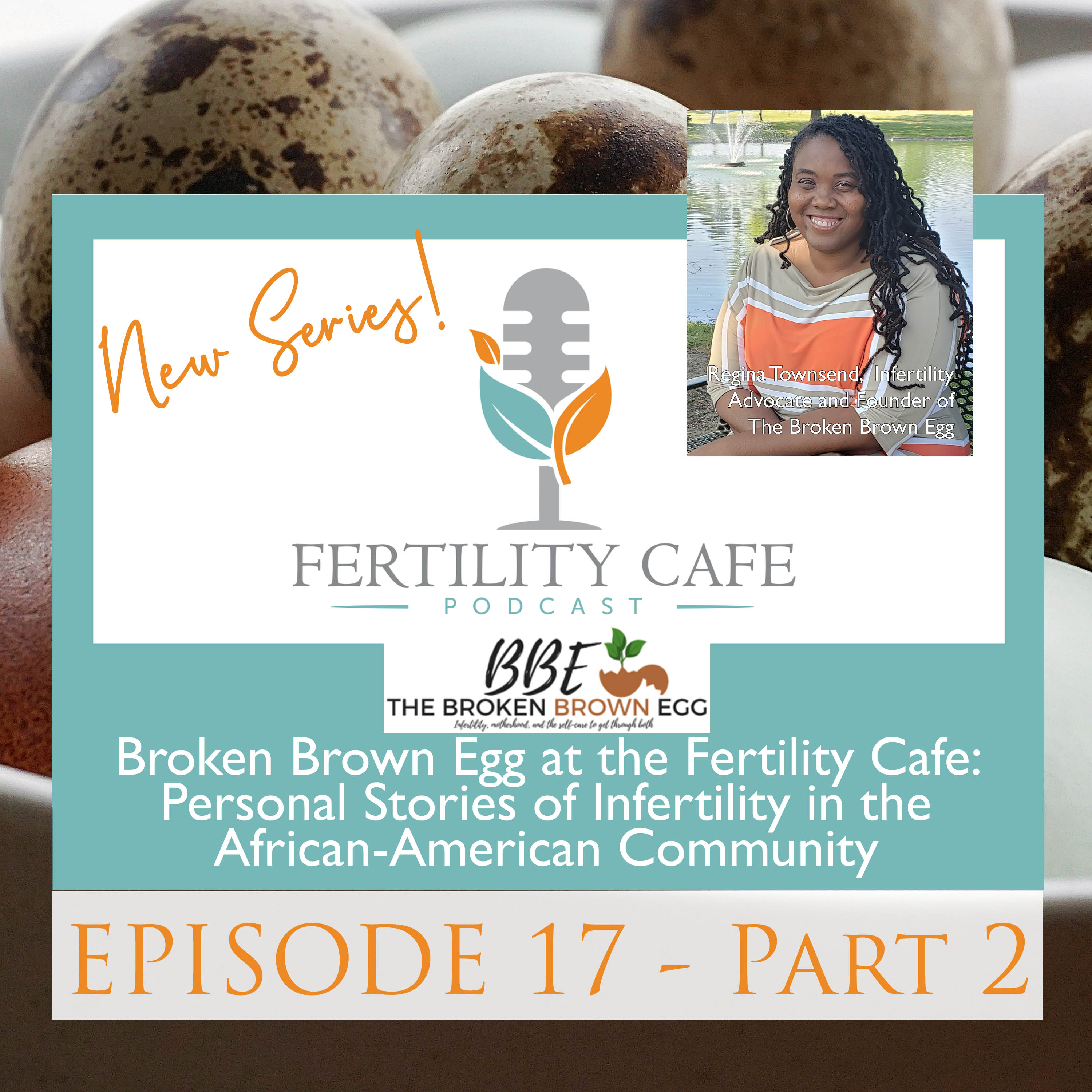 Ep. 17 Part 2 | Broken Brown Egg at the Fertility Cafe: Personal Stories of Infertility in the African-American Community