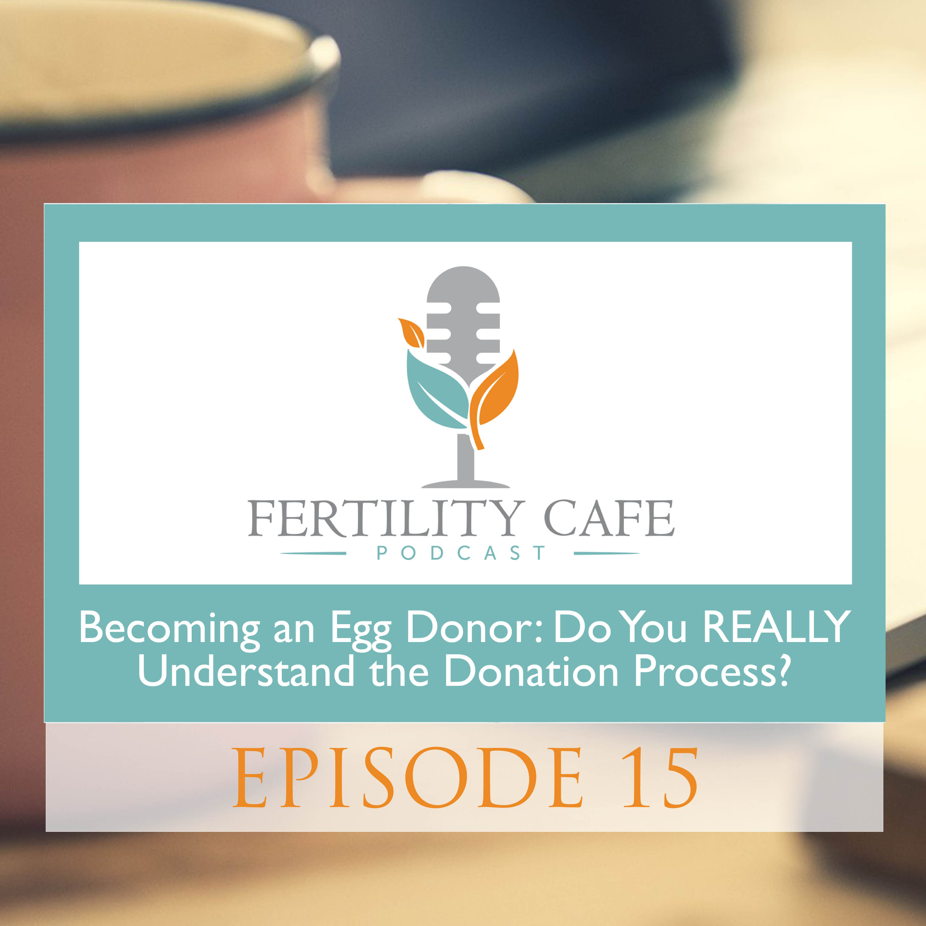 Ep. 15| Becoming an Egg Donor: Do You REALLY Understand the Donation Process?