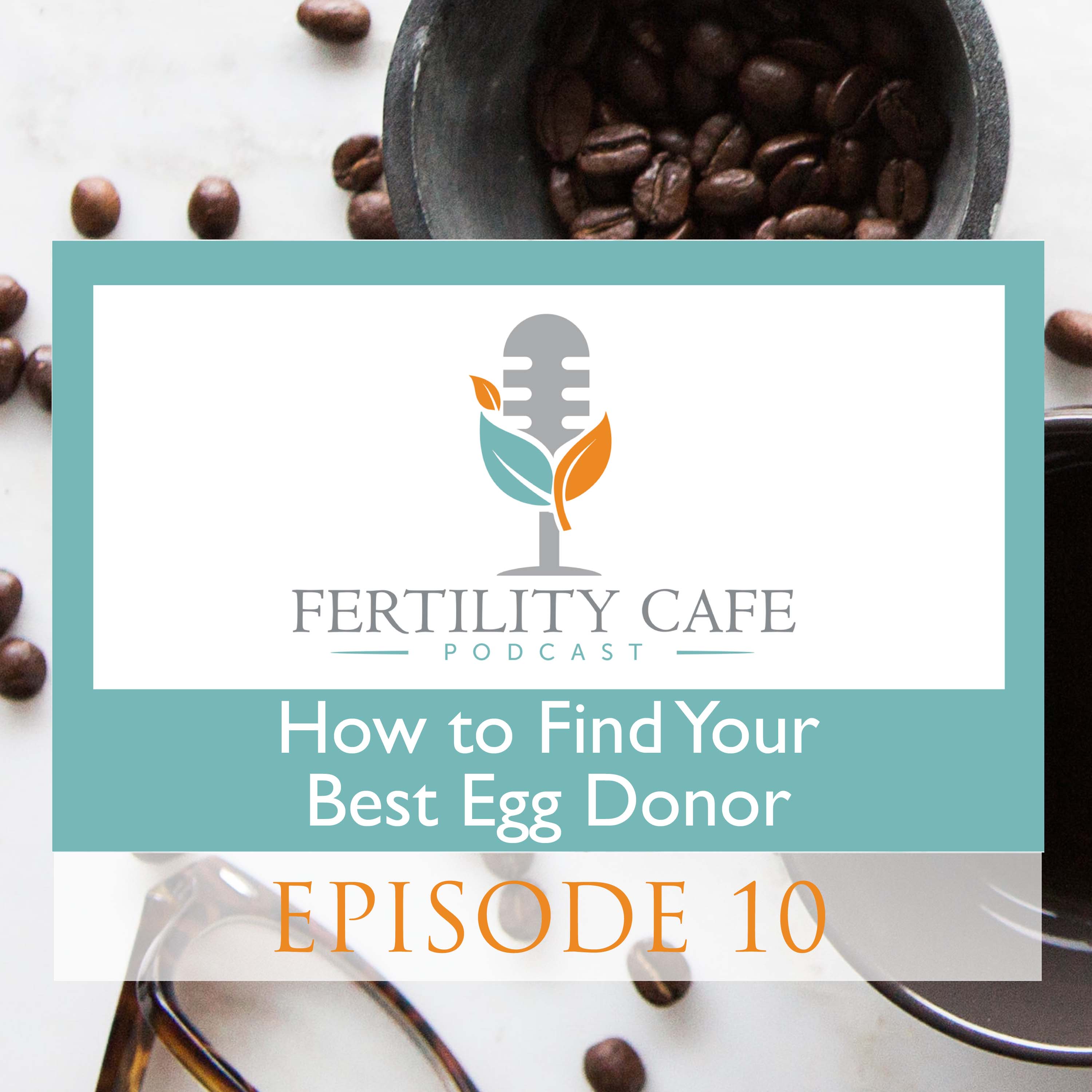 Ep. 10 | How to Find Your Best Egg Donor
