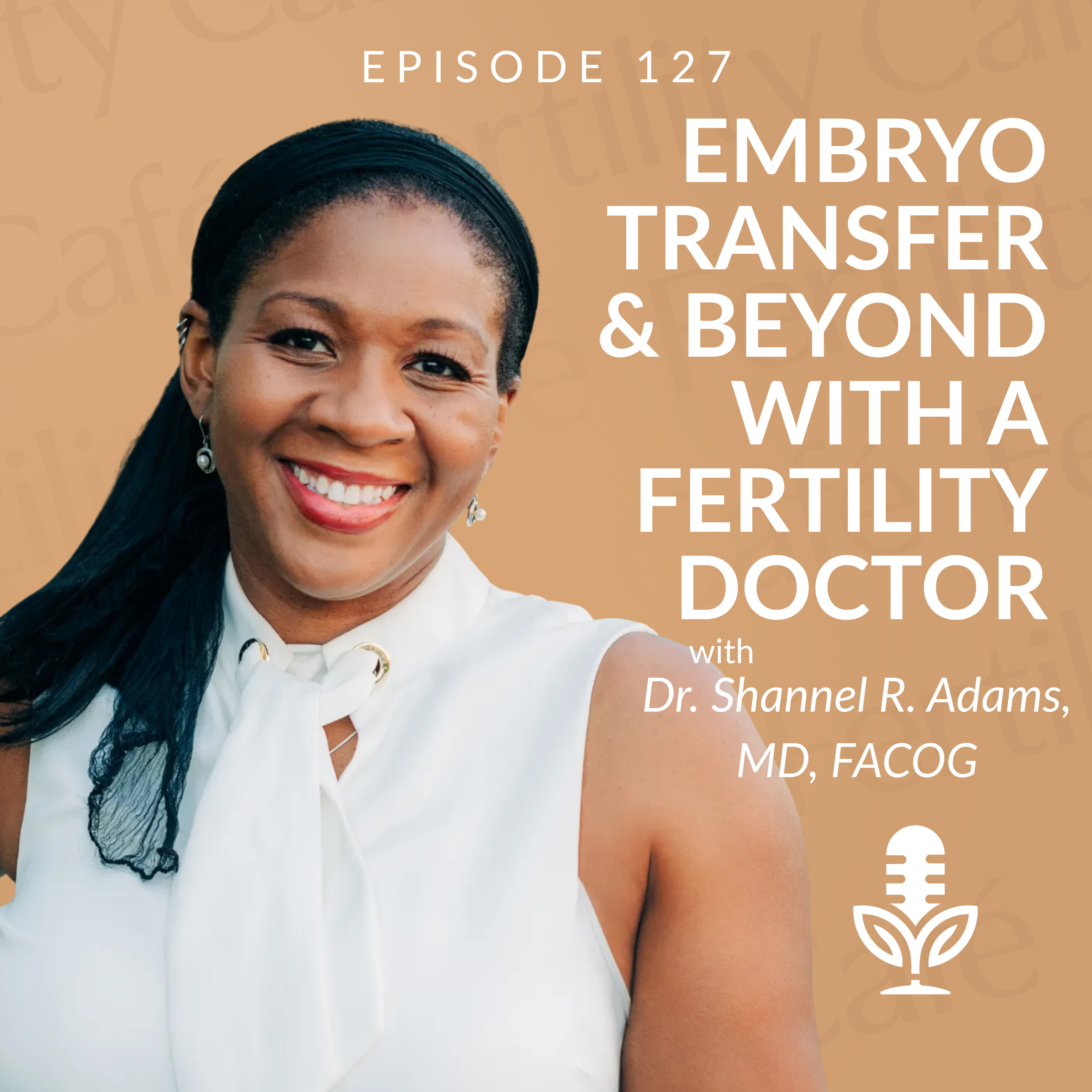 From Screening to Transfer: The Surrogate’s Medical Process, Explained by a Fertility Doctor