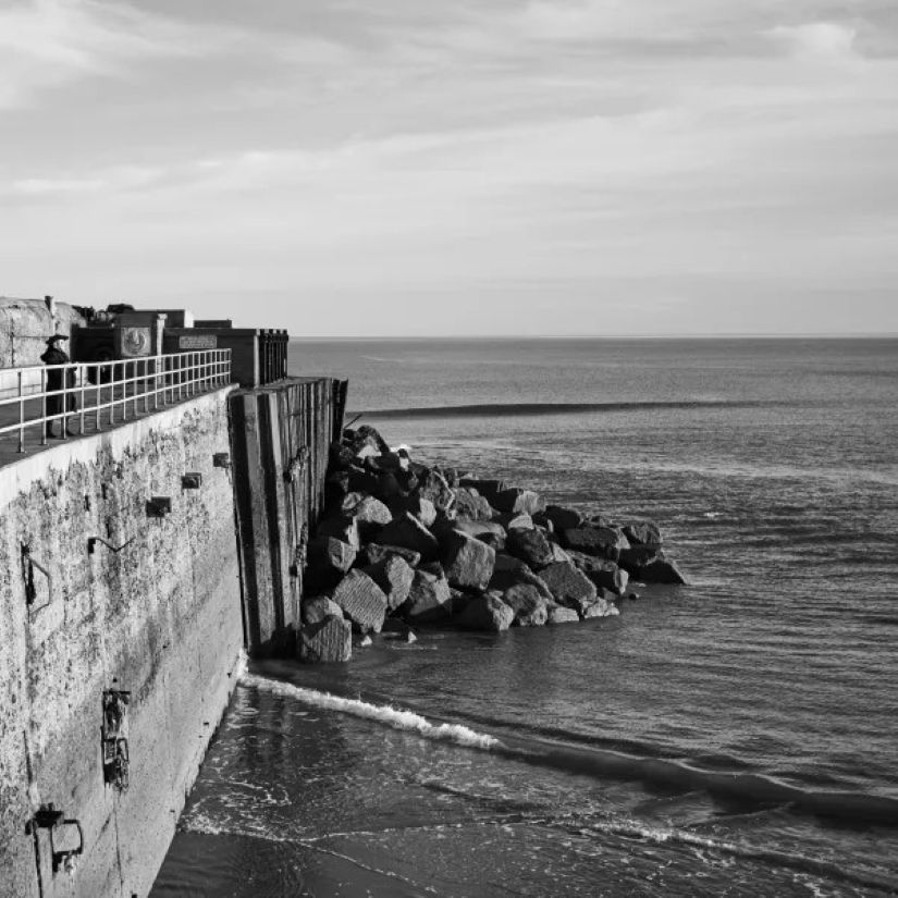 Trailblazers by Periplum