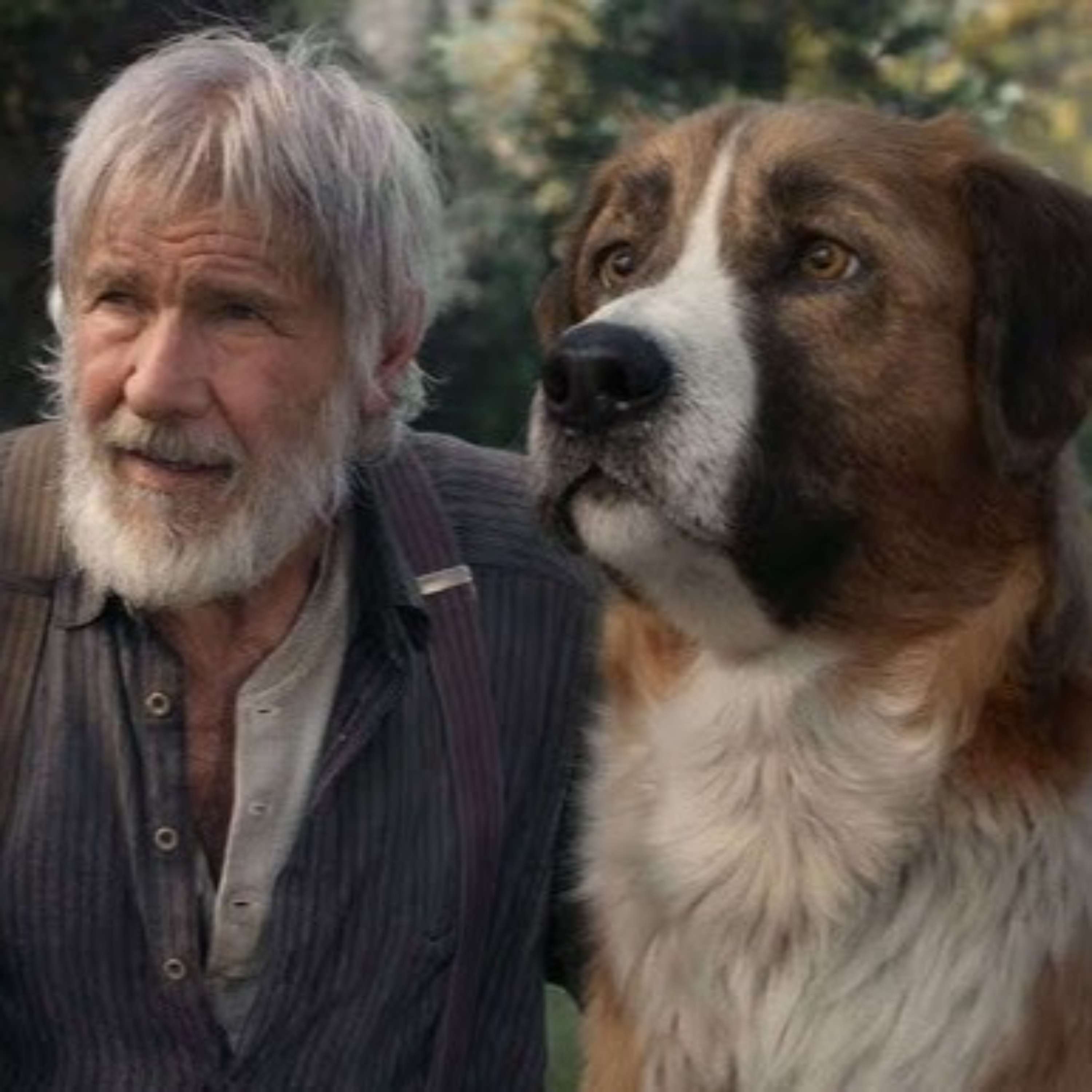 The Call of the Wild By: Jack London