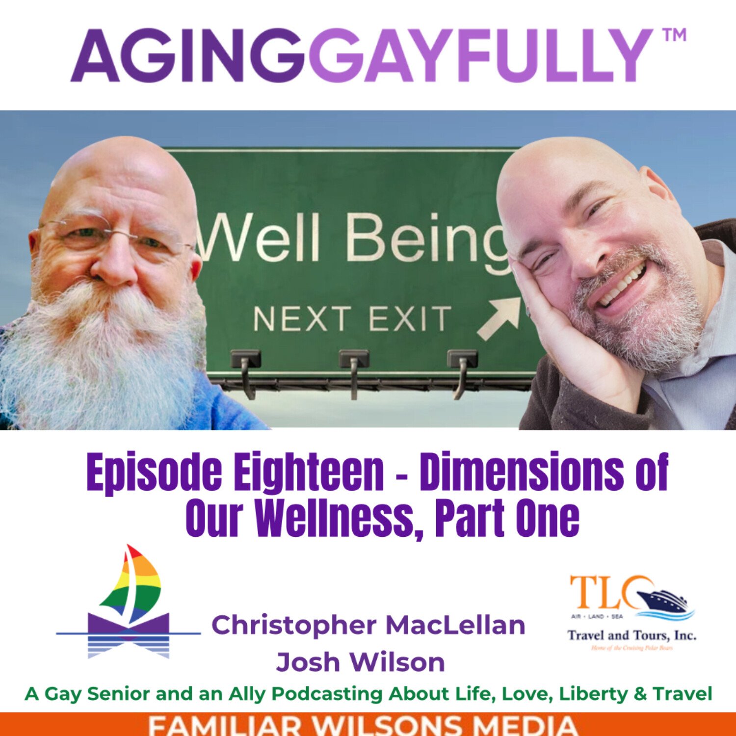 AgingGayfully™ Dimensions of Our Wellness, Part One