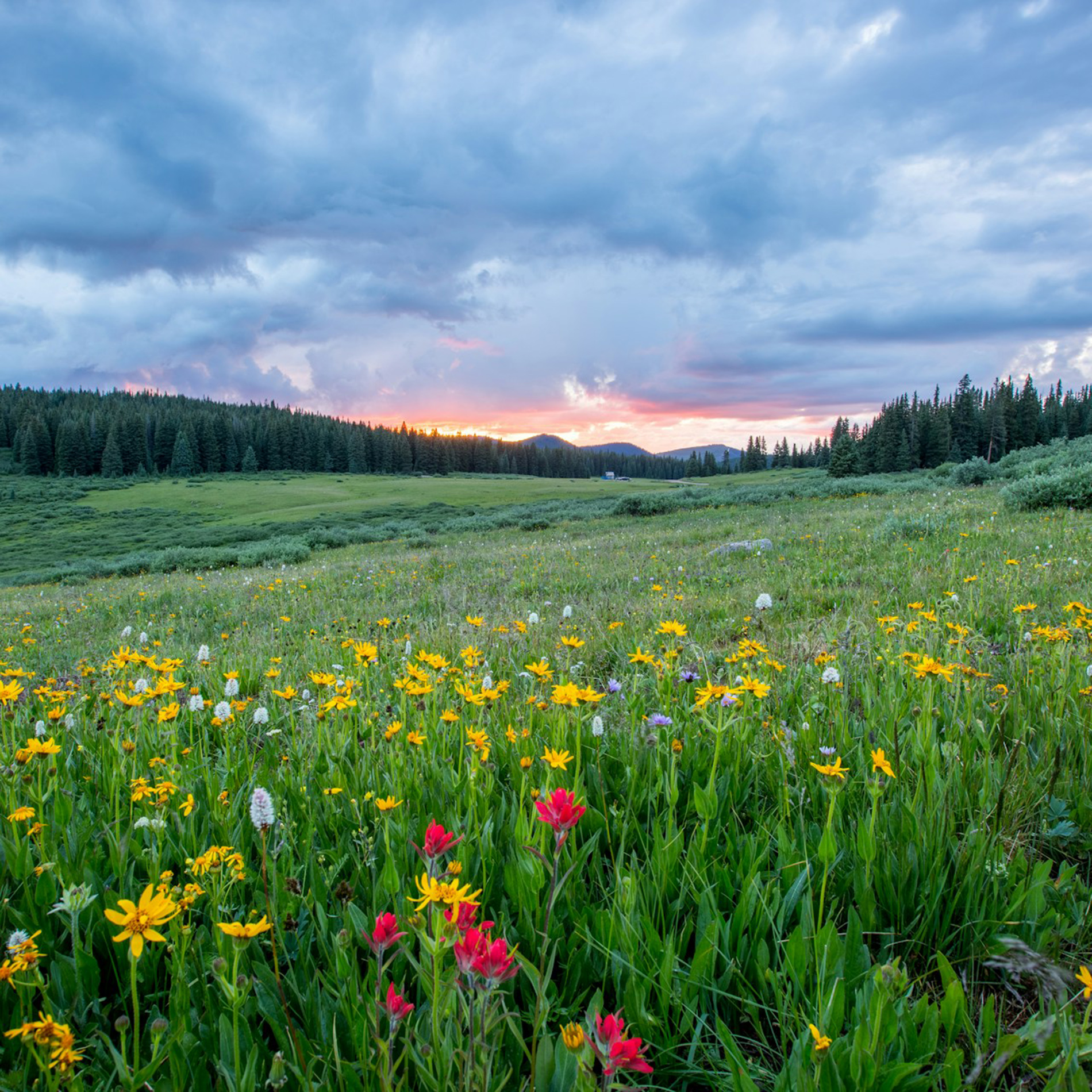 Third Sunday of Easter - The Rev. Brian Nystrom