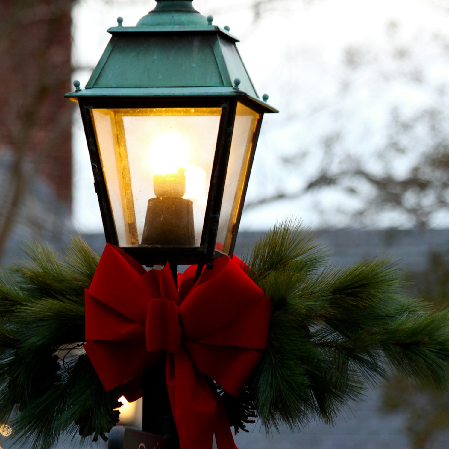 Second Sunday of Advent - The Rev. Mary Erickson
