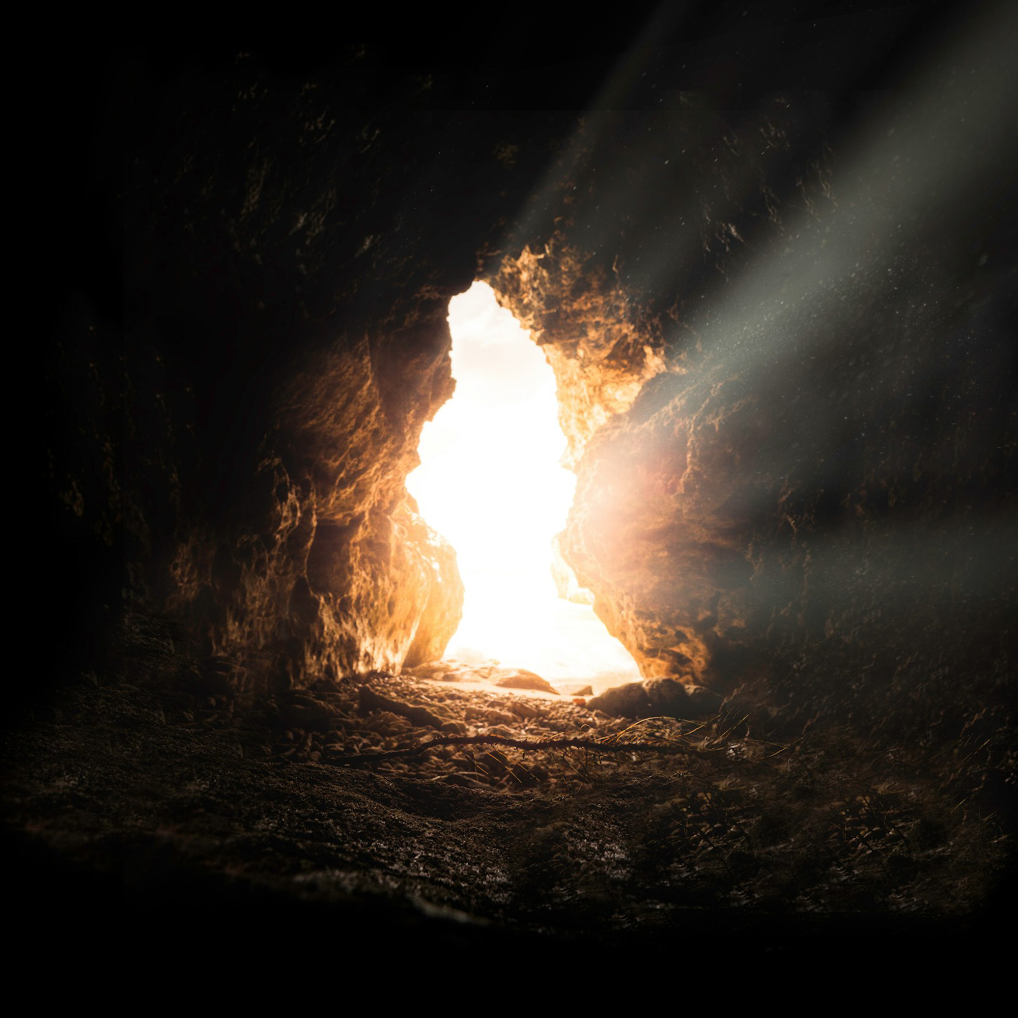 Easter Sunday - The Rev. Jimmy Bartz