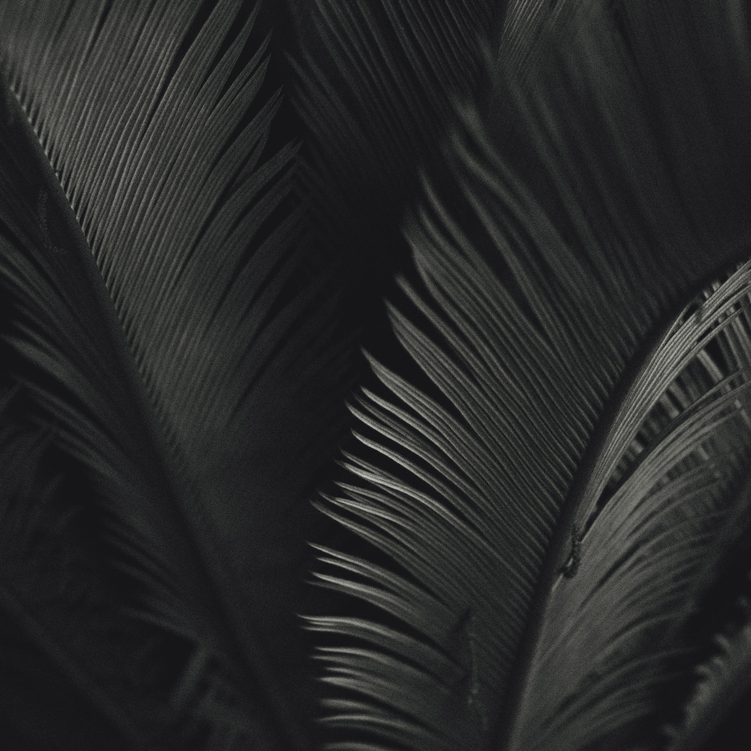 Palm Sunday - The Rev. Brian Nystrom