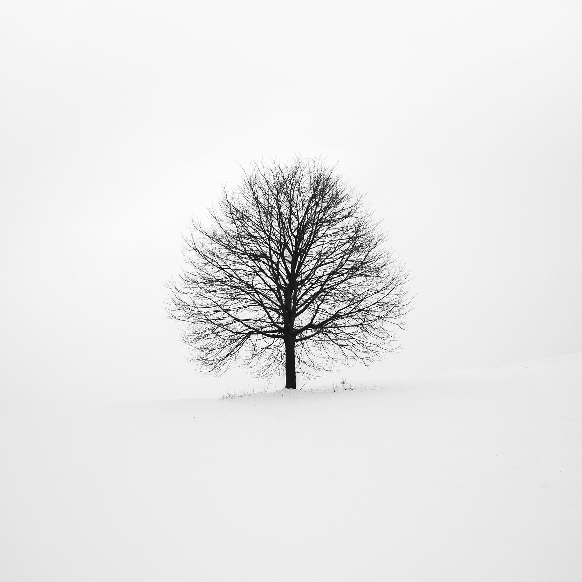Fifth Sunday in Lent - The Rev. Jimmy Bartz