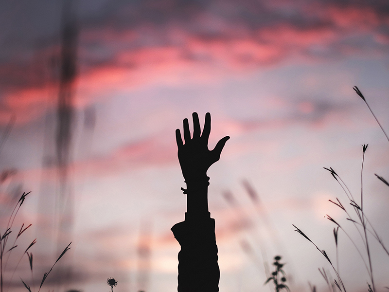 Eleventh Sunday after Pentecost - The Rev. Jimmy Bartz