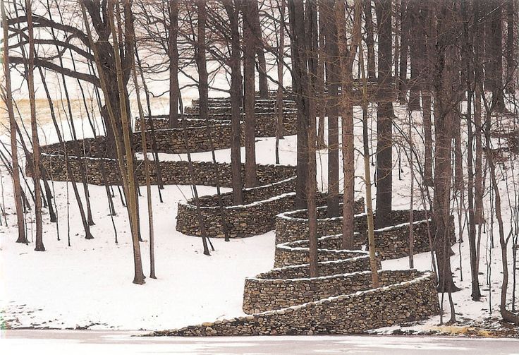 4th Sunday after the Epiphany - Margaret Hutton