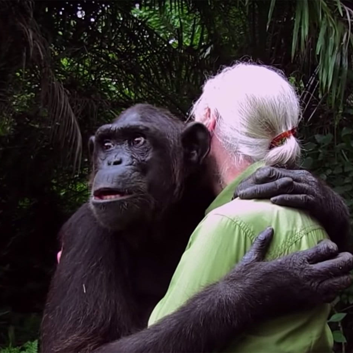 Eighteenth Sunday after Pentecost - The Rev. Spencer Reece