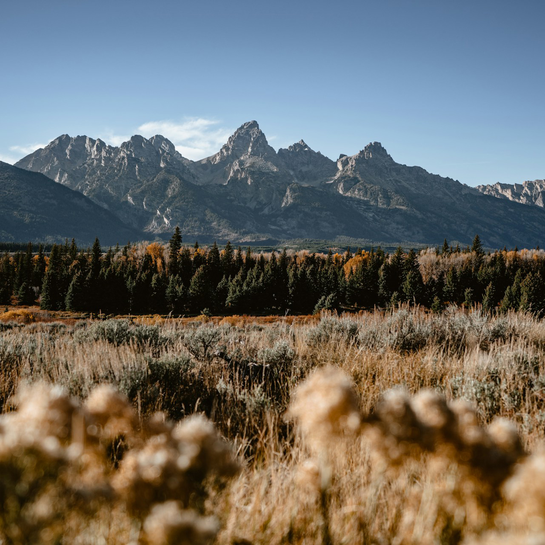 Twenty-third Sunday after Pentecost - The Rev. Jimmy Bartz