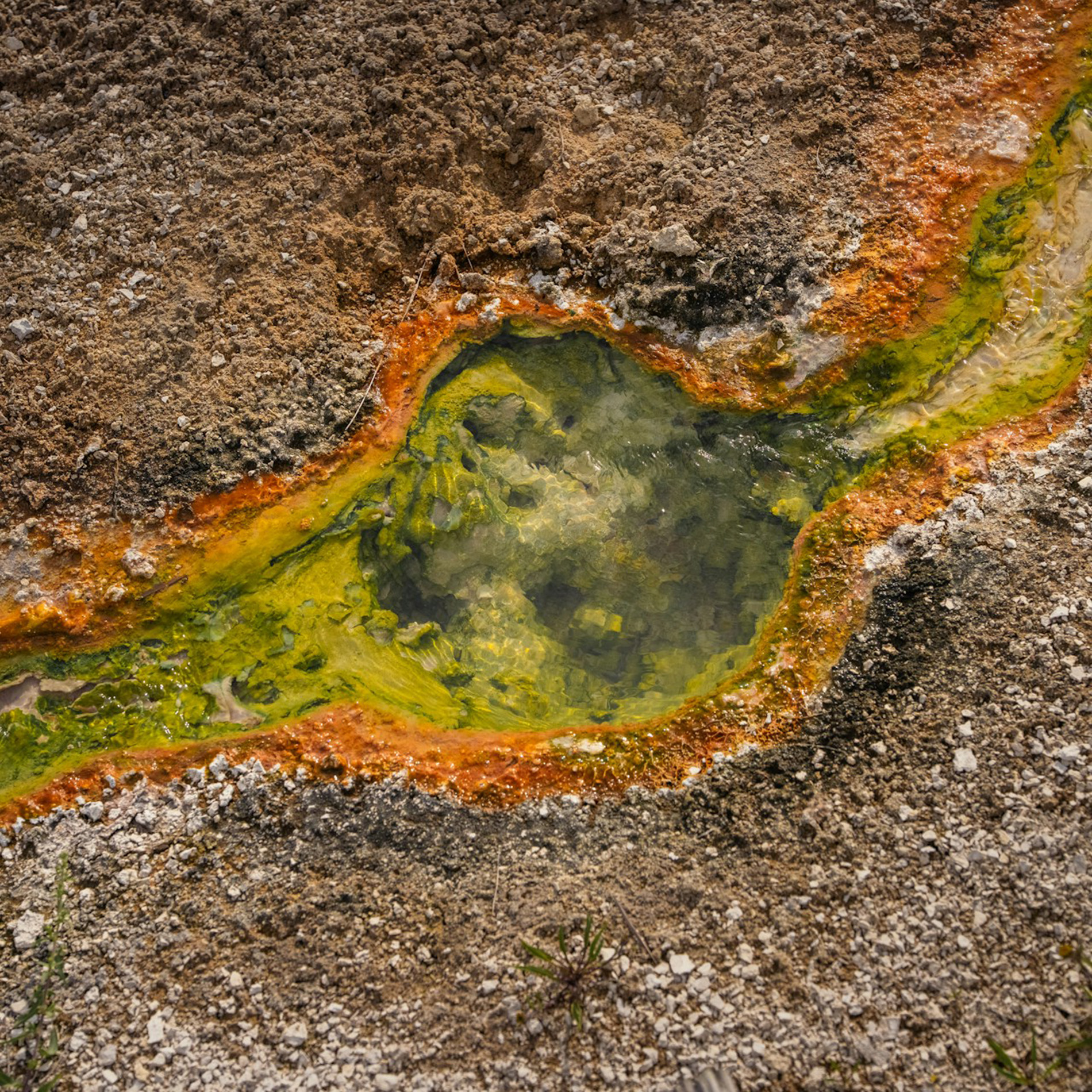 First Sunday after Christmas Day - The Rev. Brian Nystrom