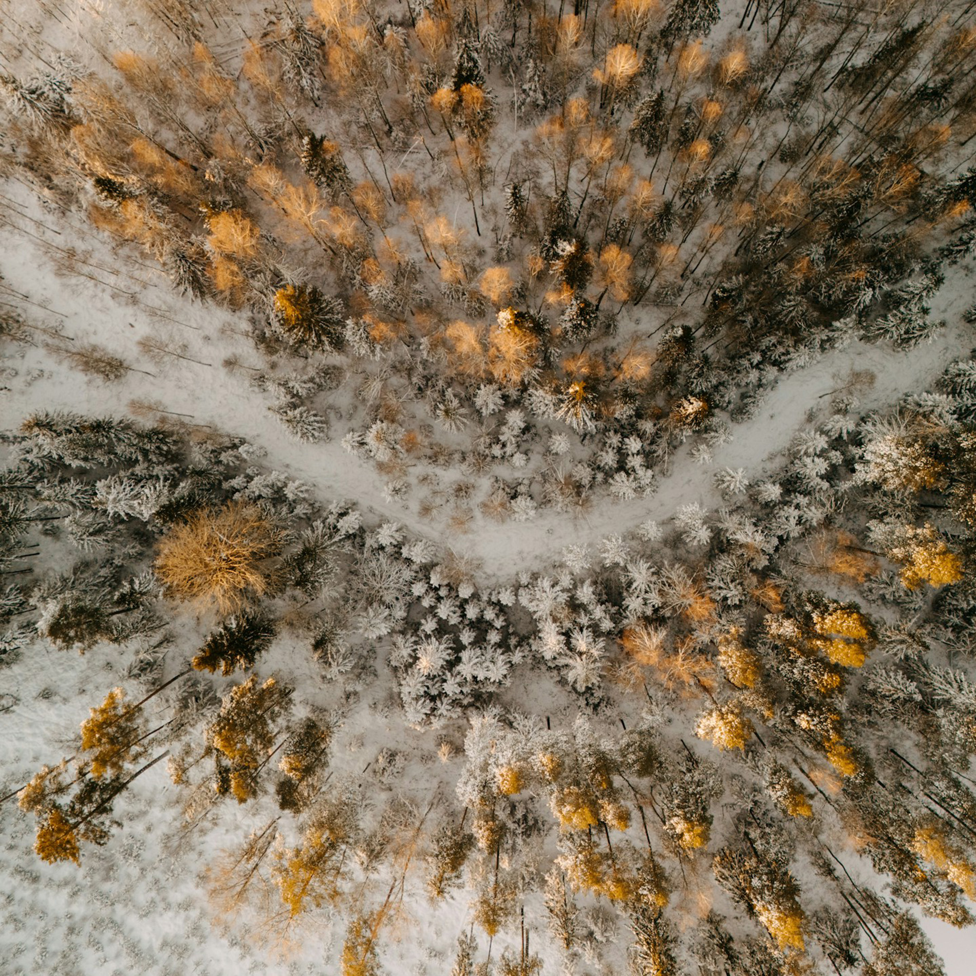 The Epiphany - The Rev. Jimmy Bartz