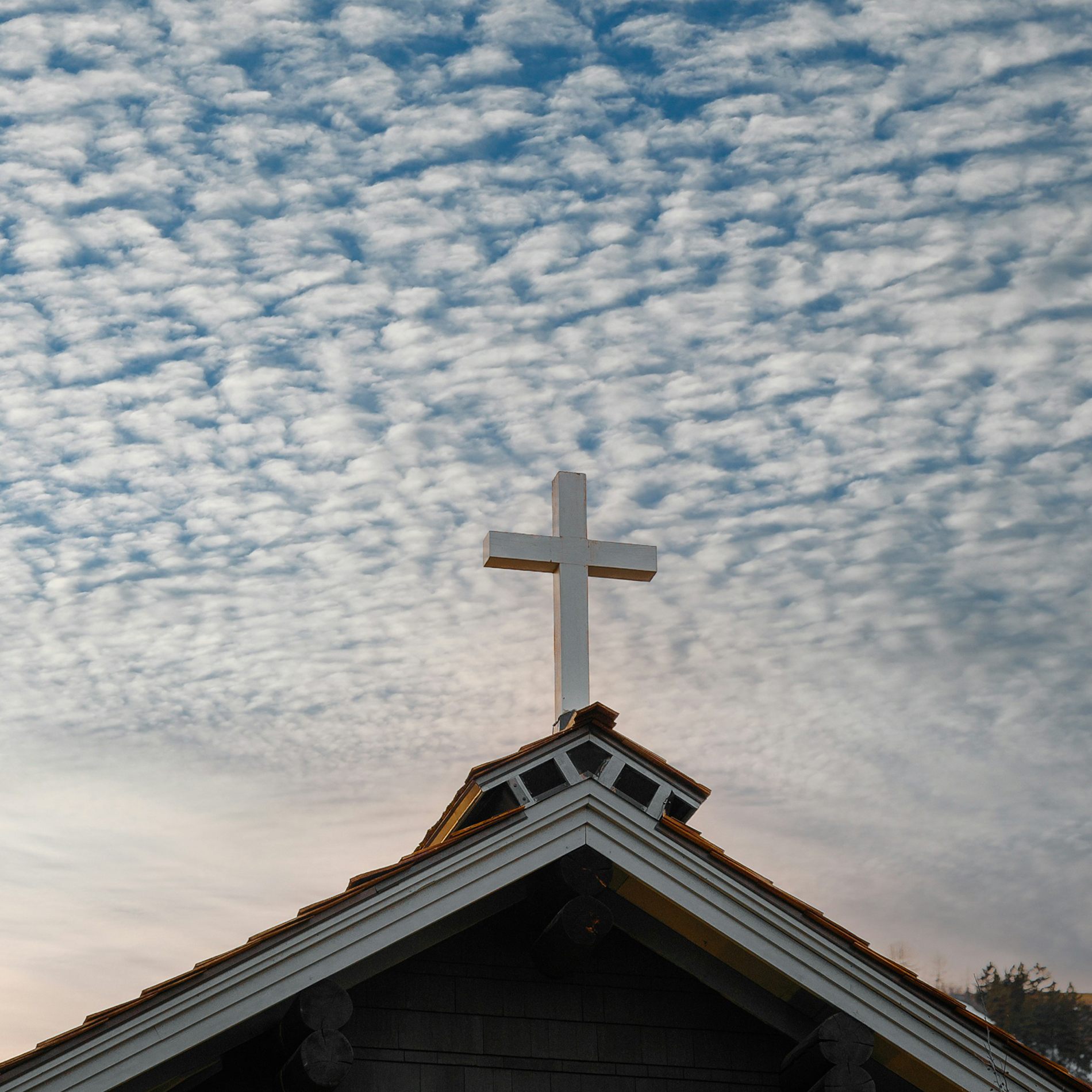 Annual Meeting Rector Report