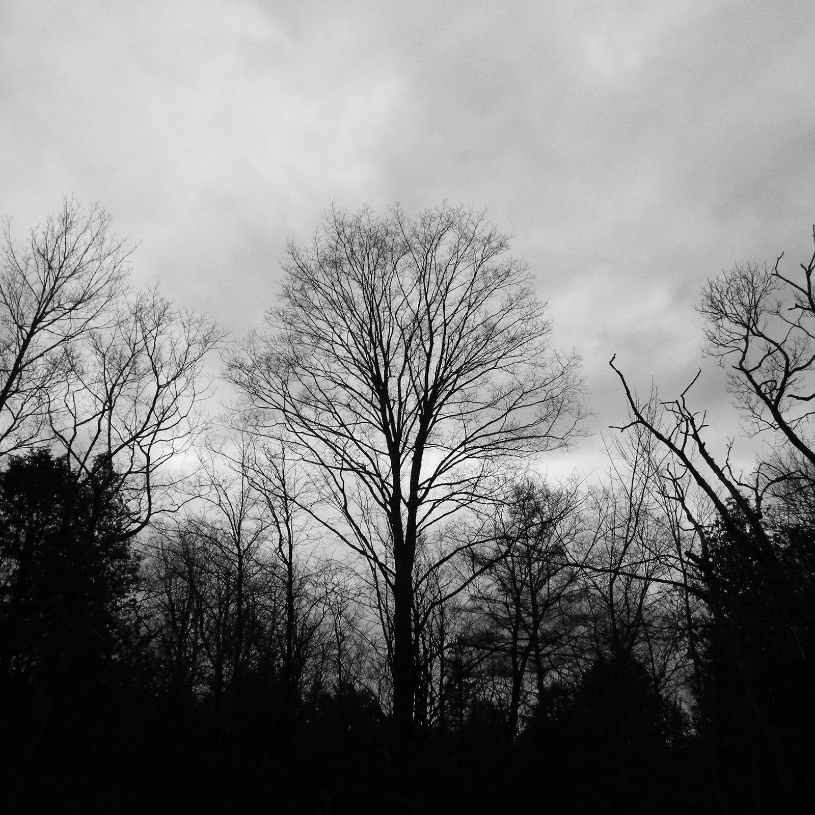 Fifth Sunday in Lent - The Rev. Mary Erickson