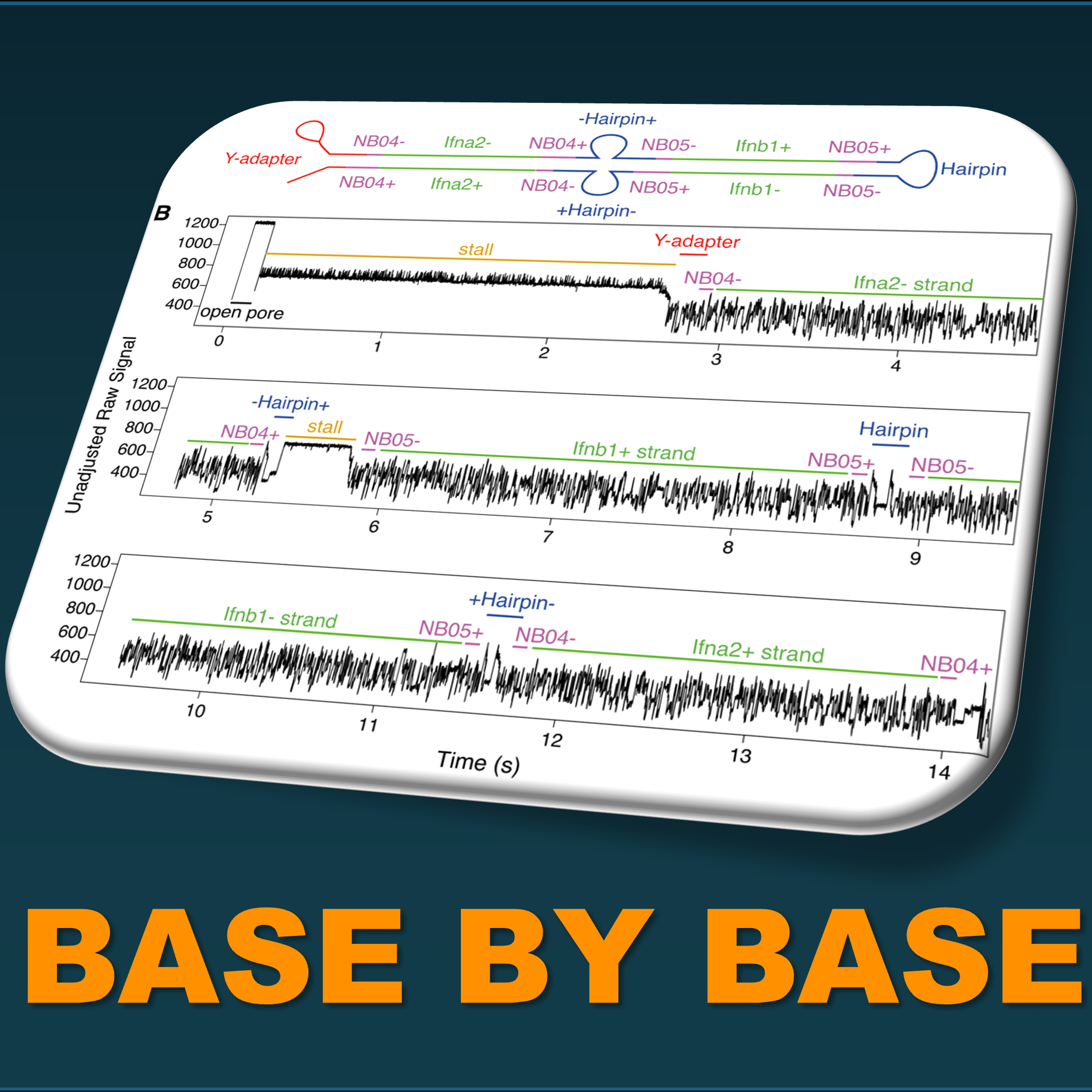 289: MinION detection of chimeric reads in murine Ifna/Ifnb and Actb amplicons