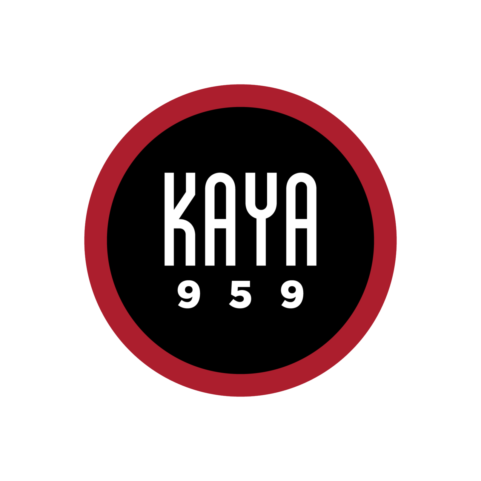 Kaya Biz Inside Your Business