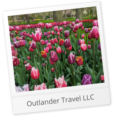 Episode 448: Avalon vs AmaWaterways, Tulip Time Cruises