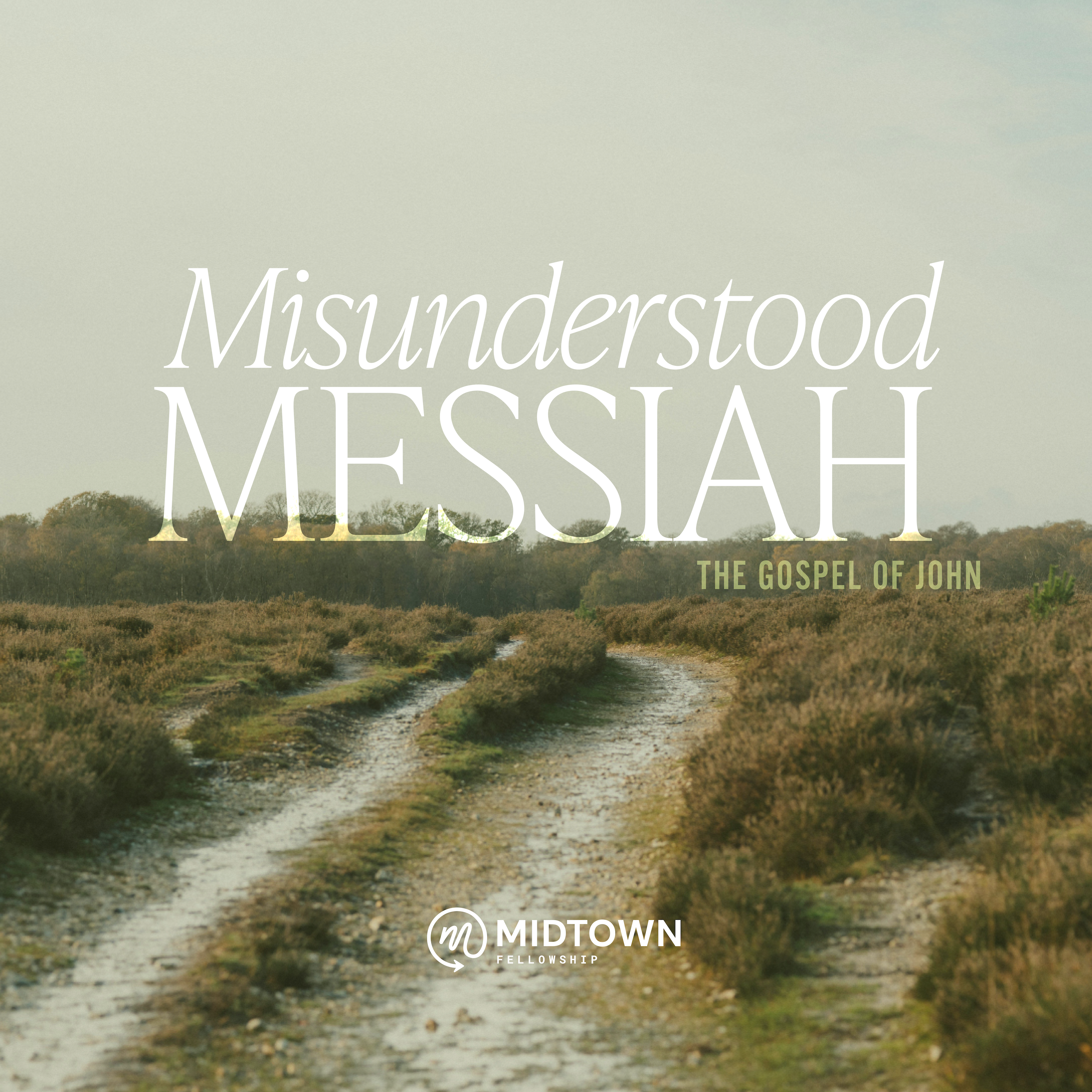 Misunderstood Sorrow ("WBE")