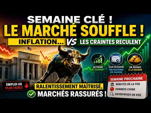 Ils continuent d'acheter, mais pourquoi ?! (Les Archives de L'Architecte EP12)
