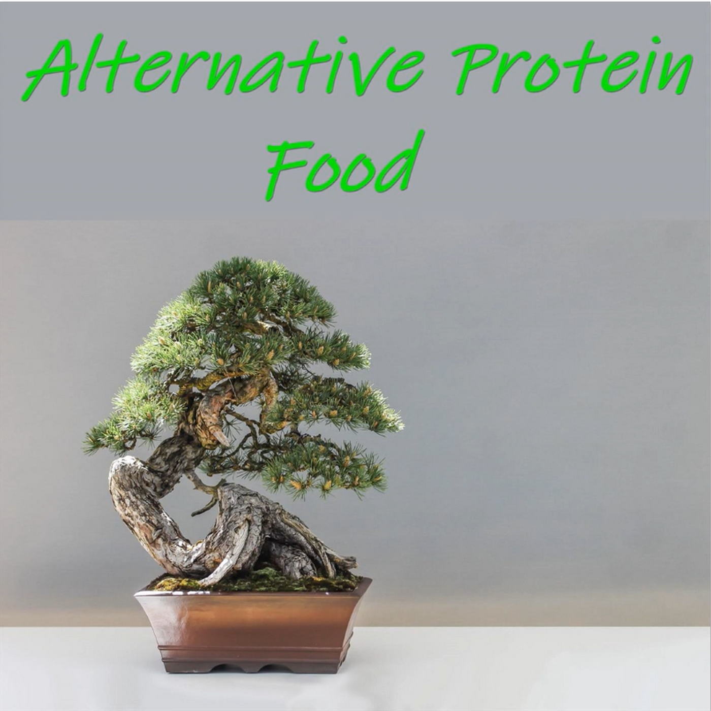 Alternative Protein Food