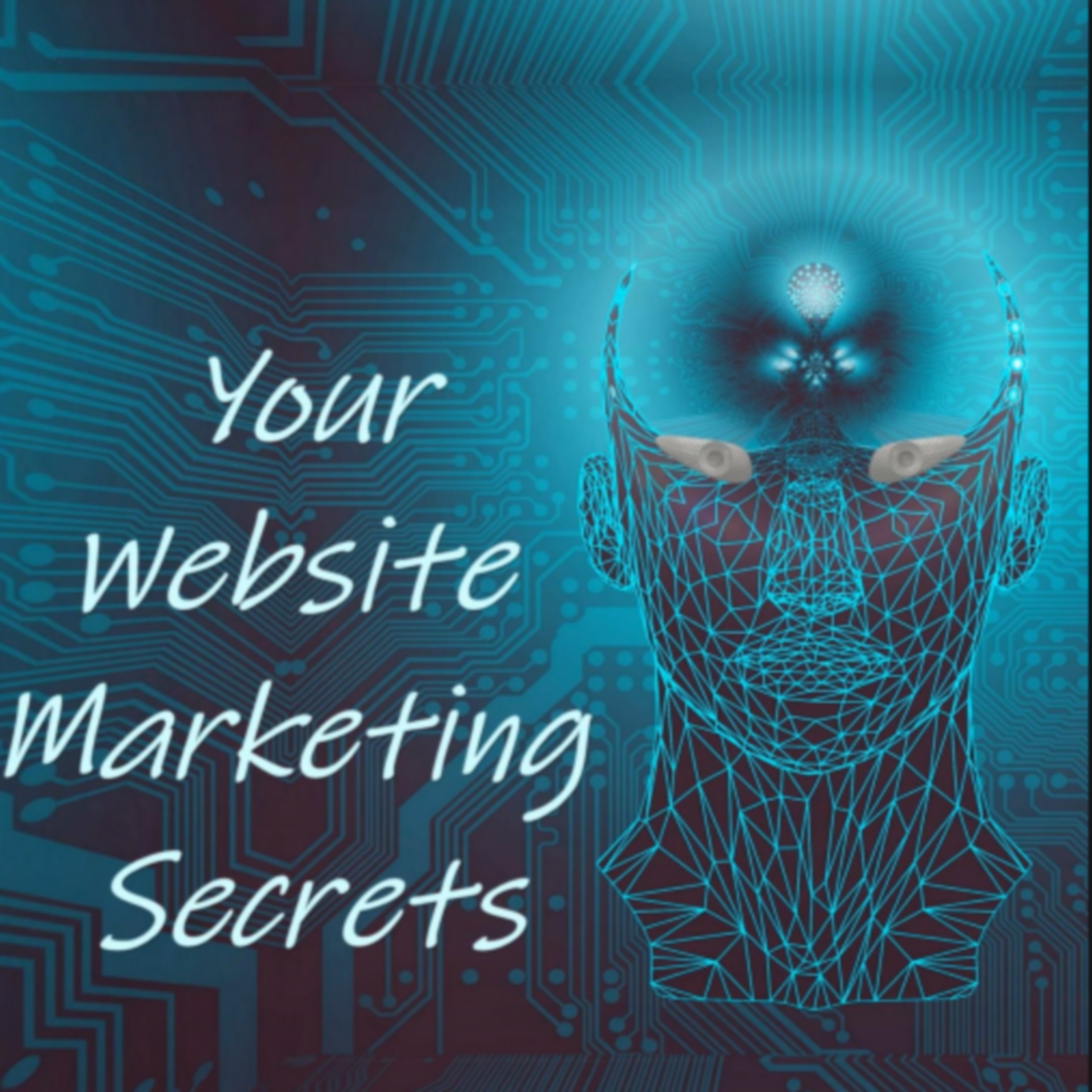 Your Website Marketing Secrets 1-4