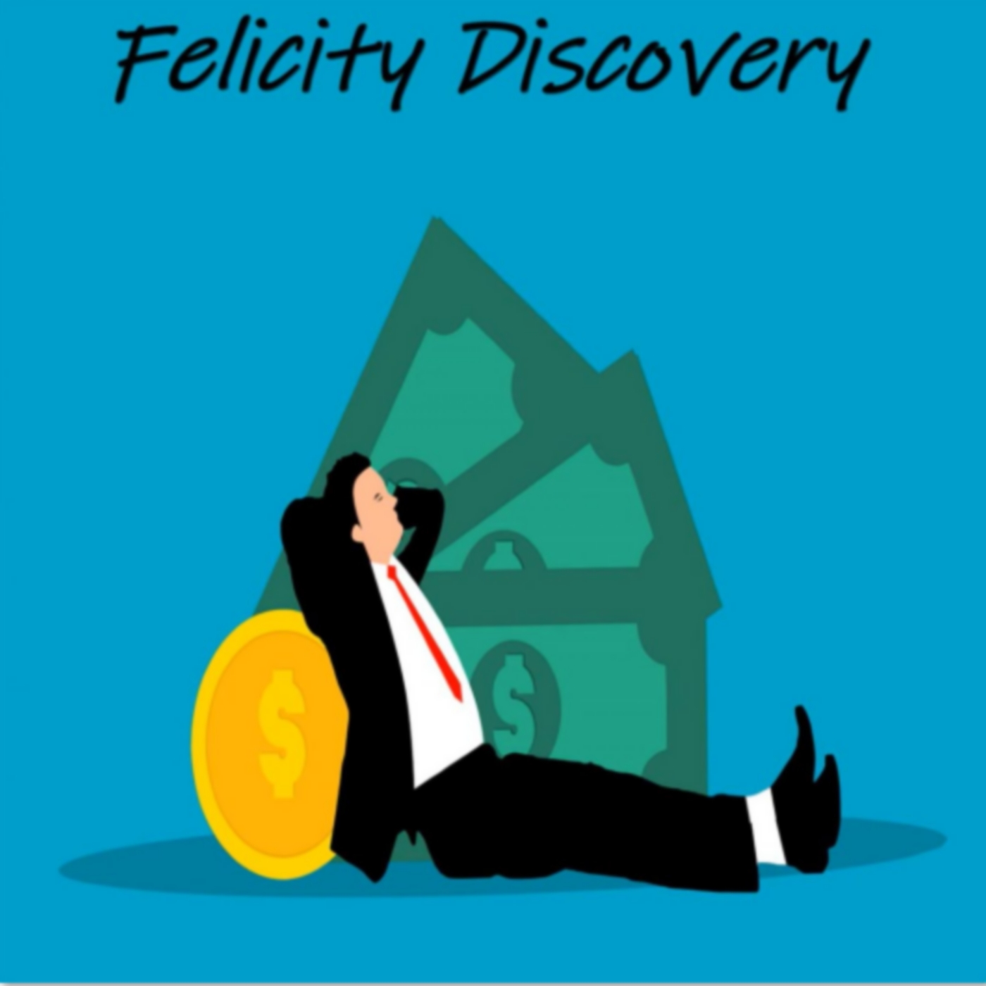 Felicity Discovery 1