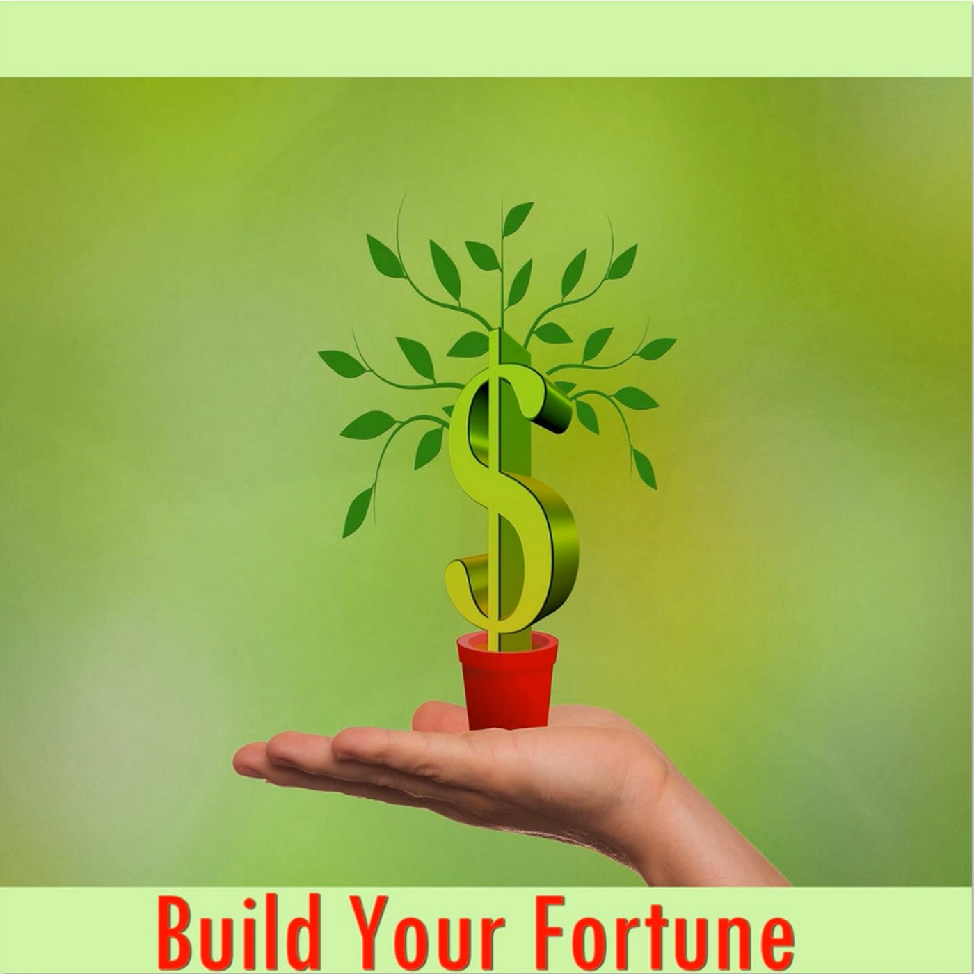 Build Your Fortune