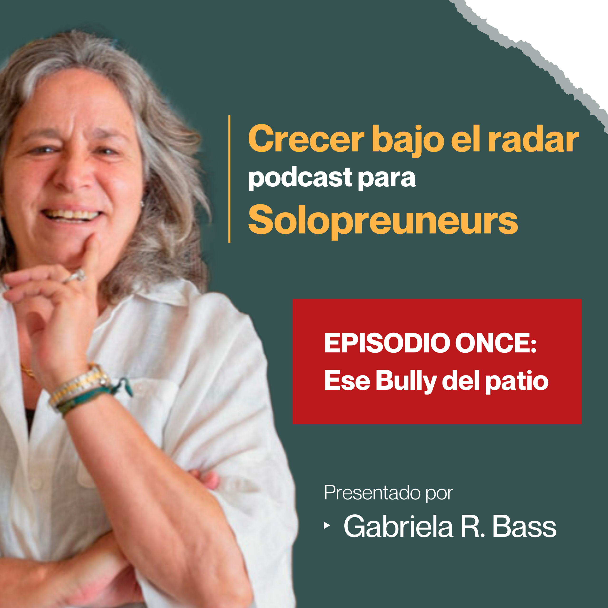 Episodio ONCE: Ese bully del patio