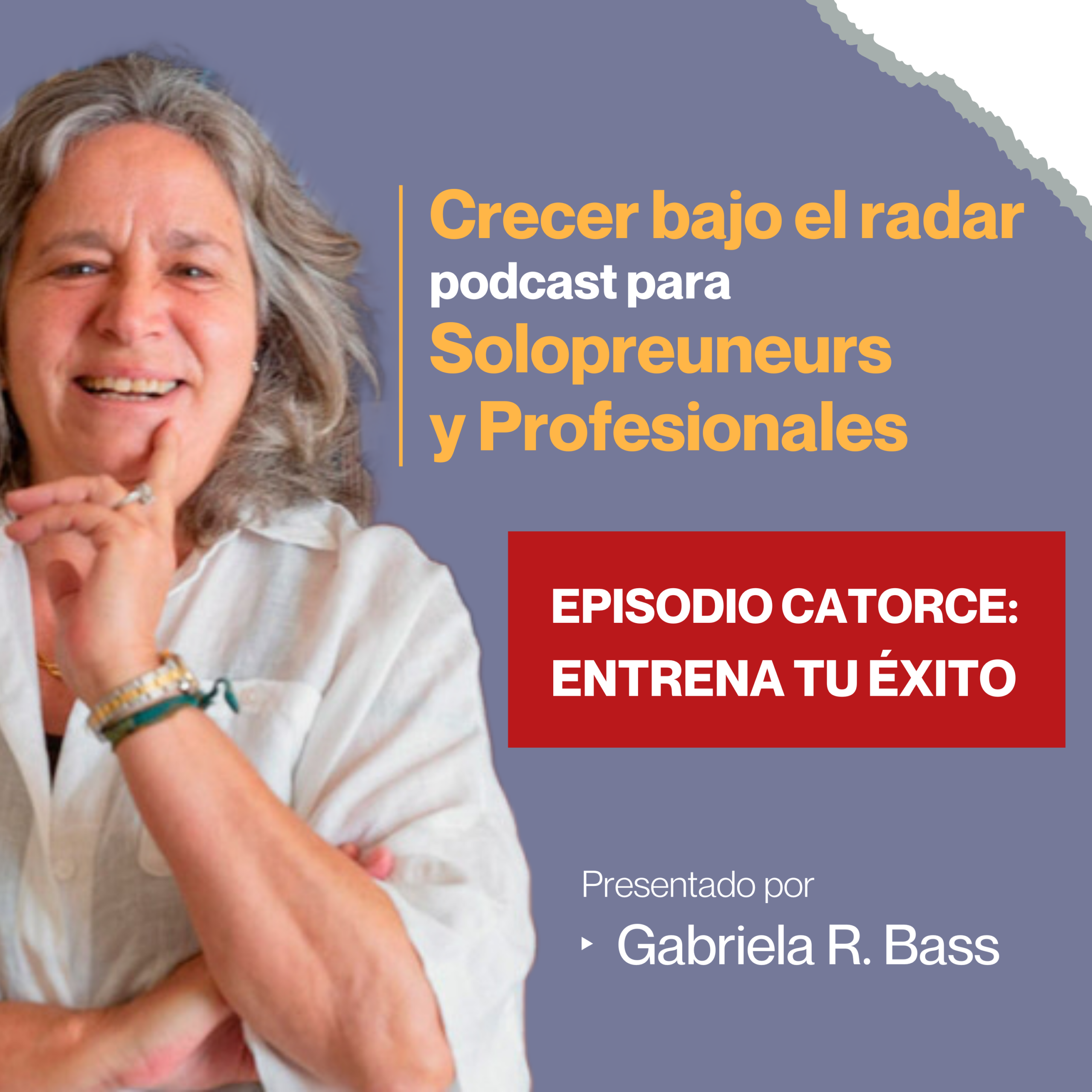 Episodio CATORCE: Entrena tu éxito