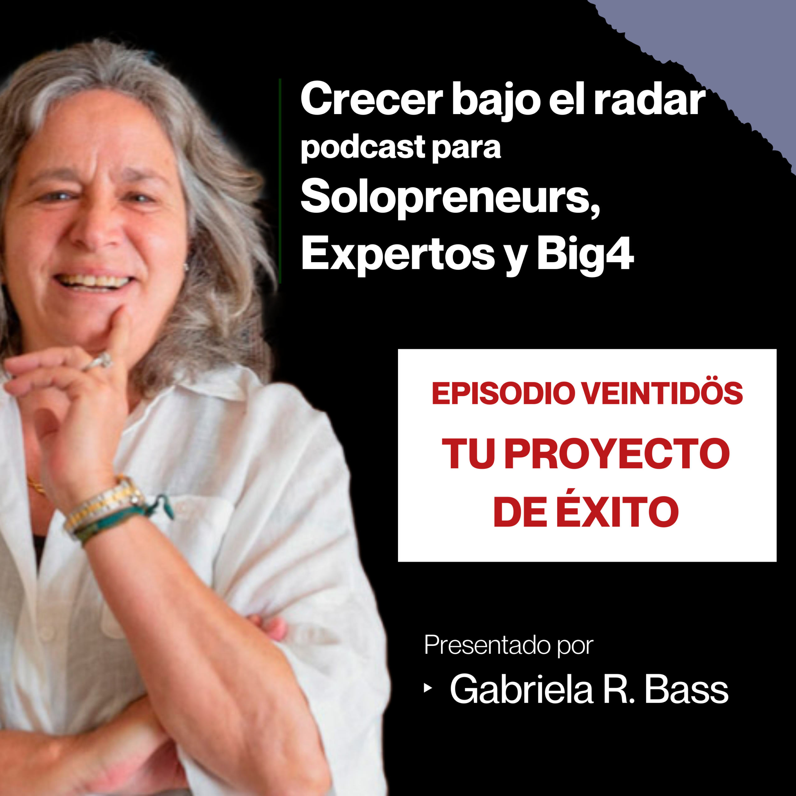 Episodio Veintidós - Tu proyecto de éxito