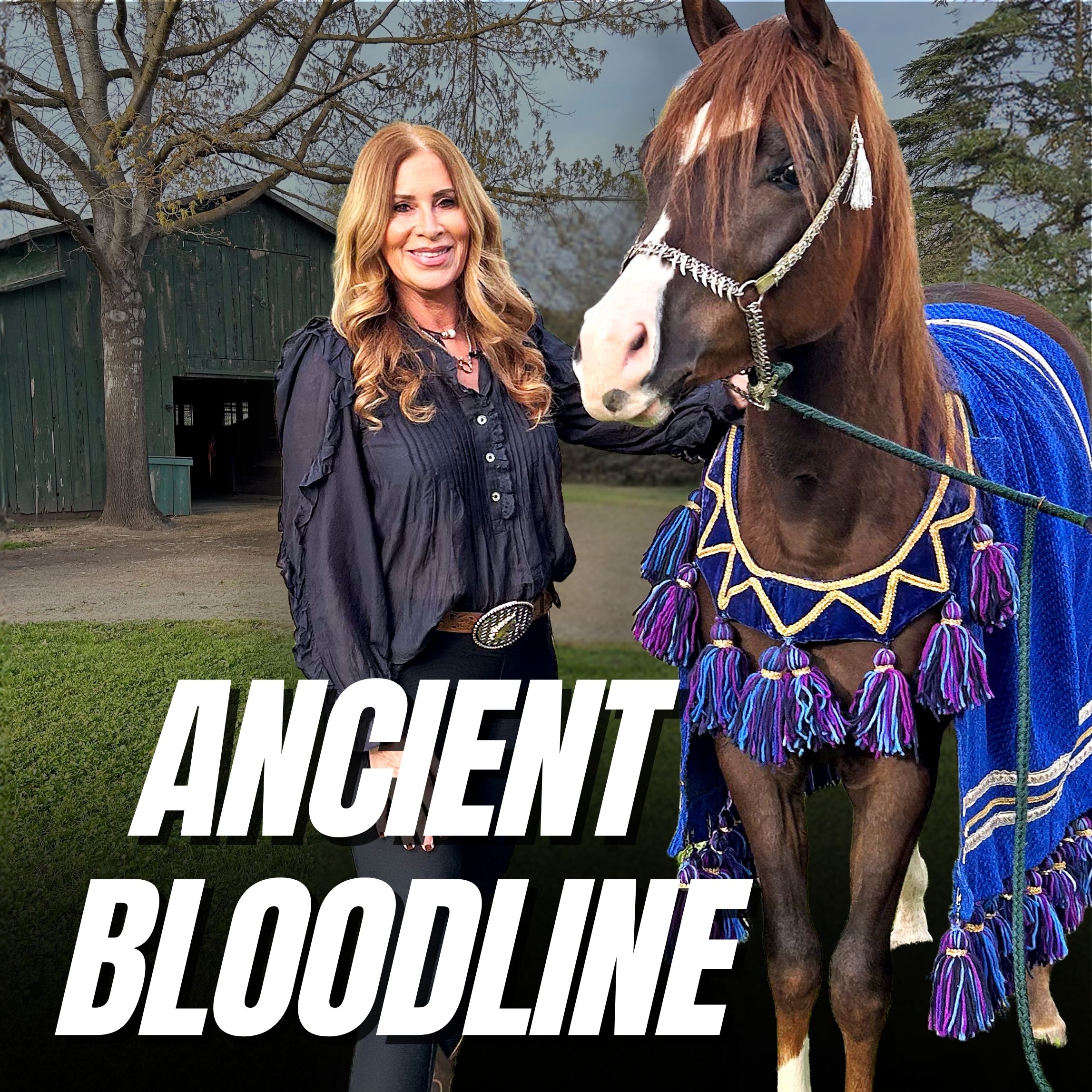 The Horse That Carries a 5,000-Year Message of Peace