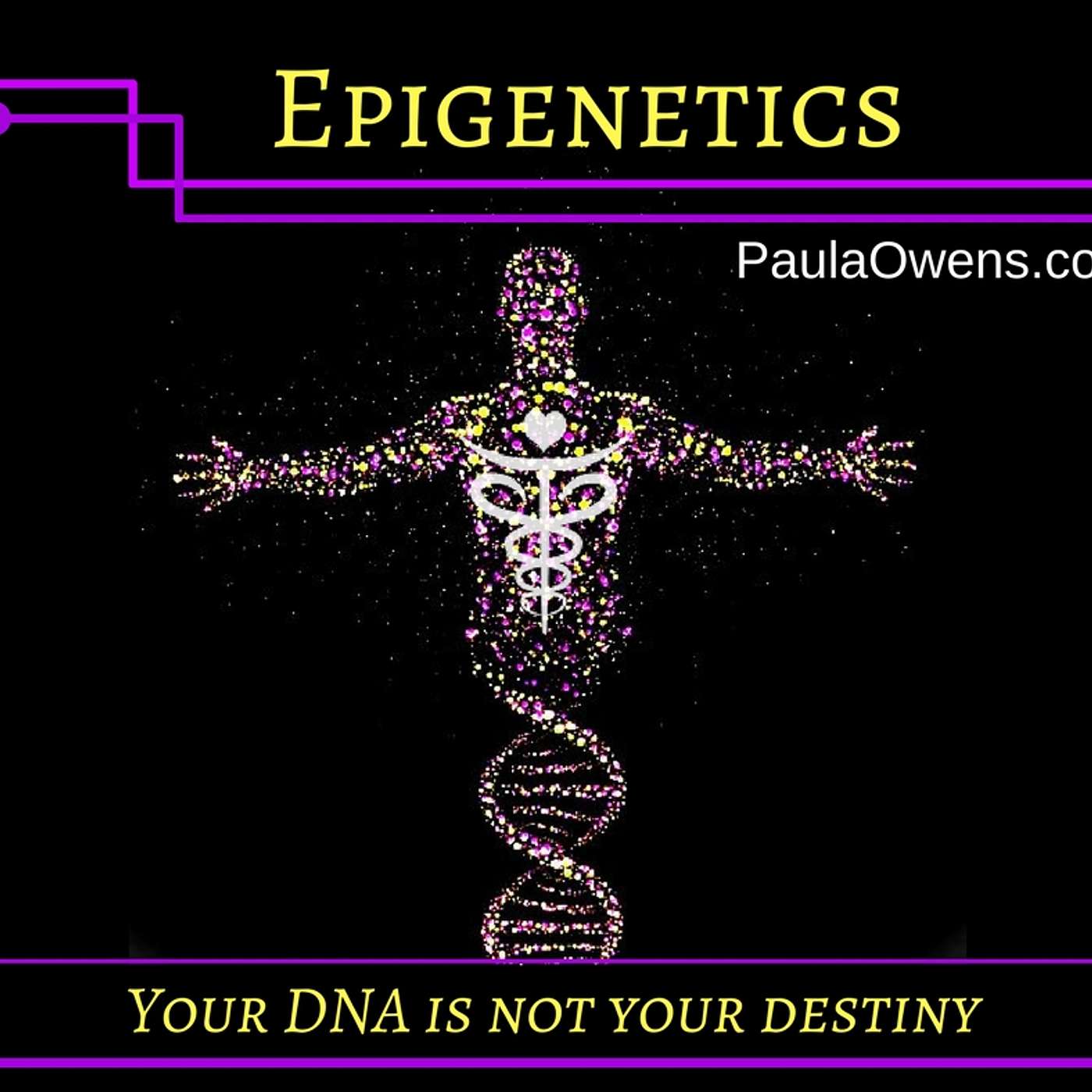 EP 28- Dr. Bruce Lipton- The Biology of Belief- Big Pharma has Hidden this knowledge-You control your gene's and how they express- Epigenetics cure heal yourself- power of the Mind real science