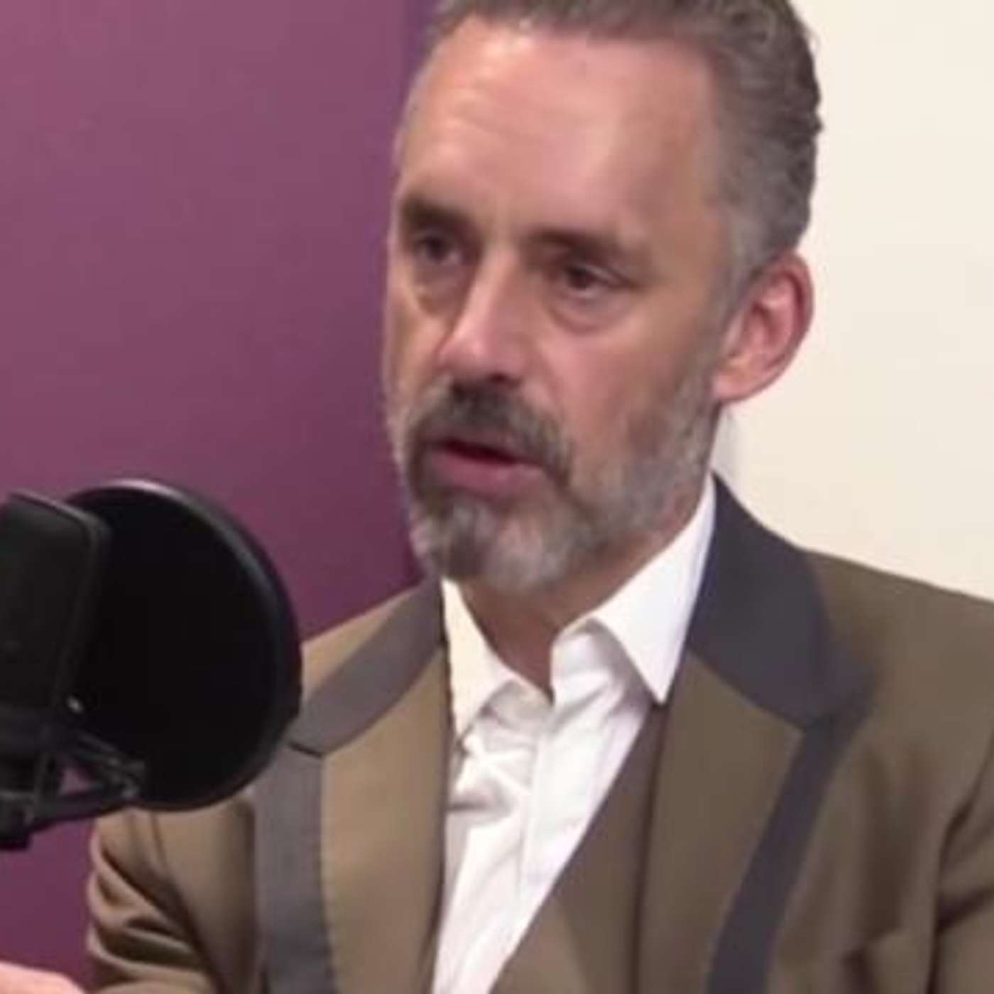 EP 19- Jordan Peterson - Dangers of Political correctness, University teaching toxic mind control bull shit - wake up listen to this true Alpha Male - feel the sun shine !