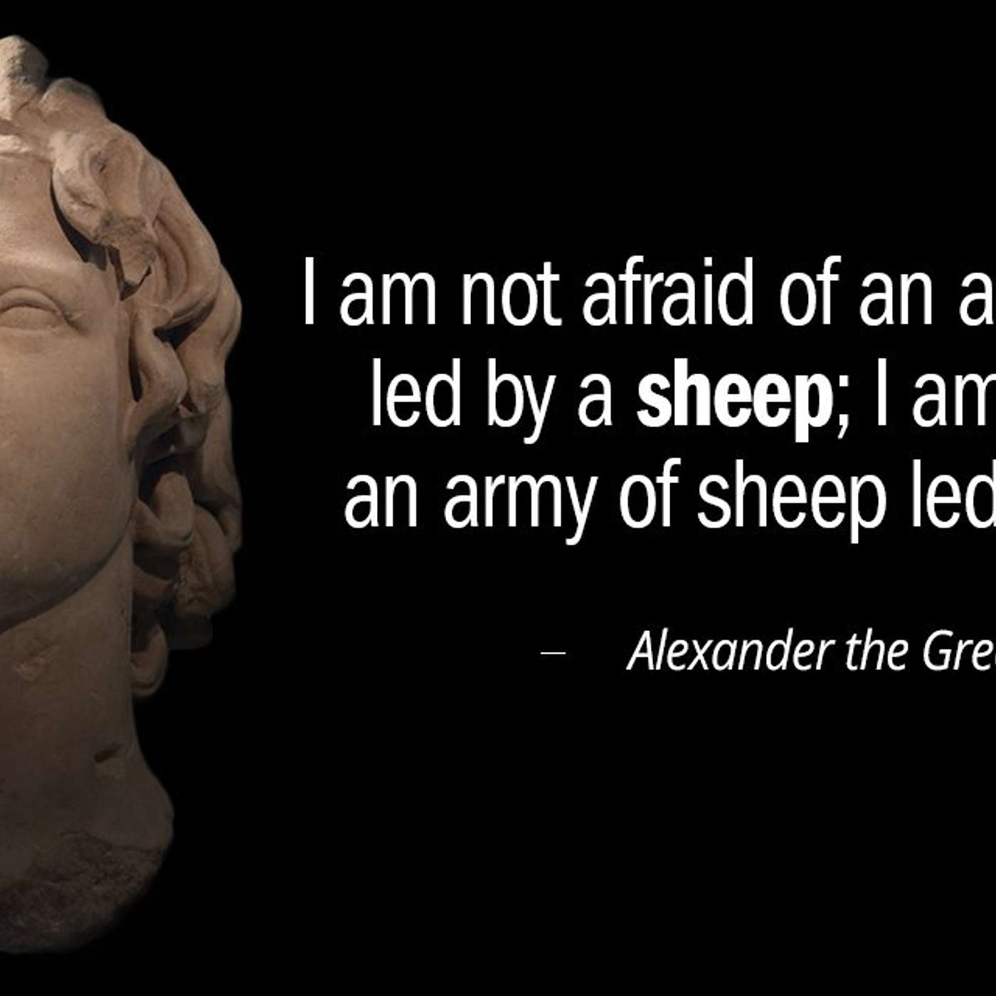 EP 11 "Alexnader the Great was quoted as saying " I am not afraid of an Army of Lions lead by a Sheep, I am afraid of an army of sheep lead by a Lion..."