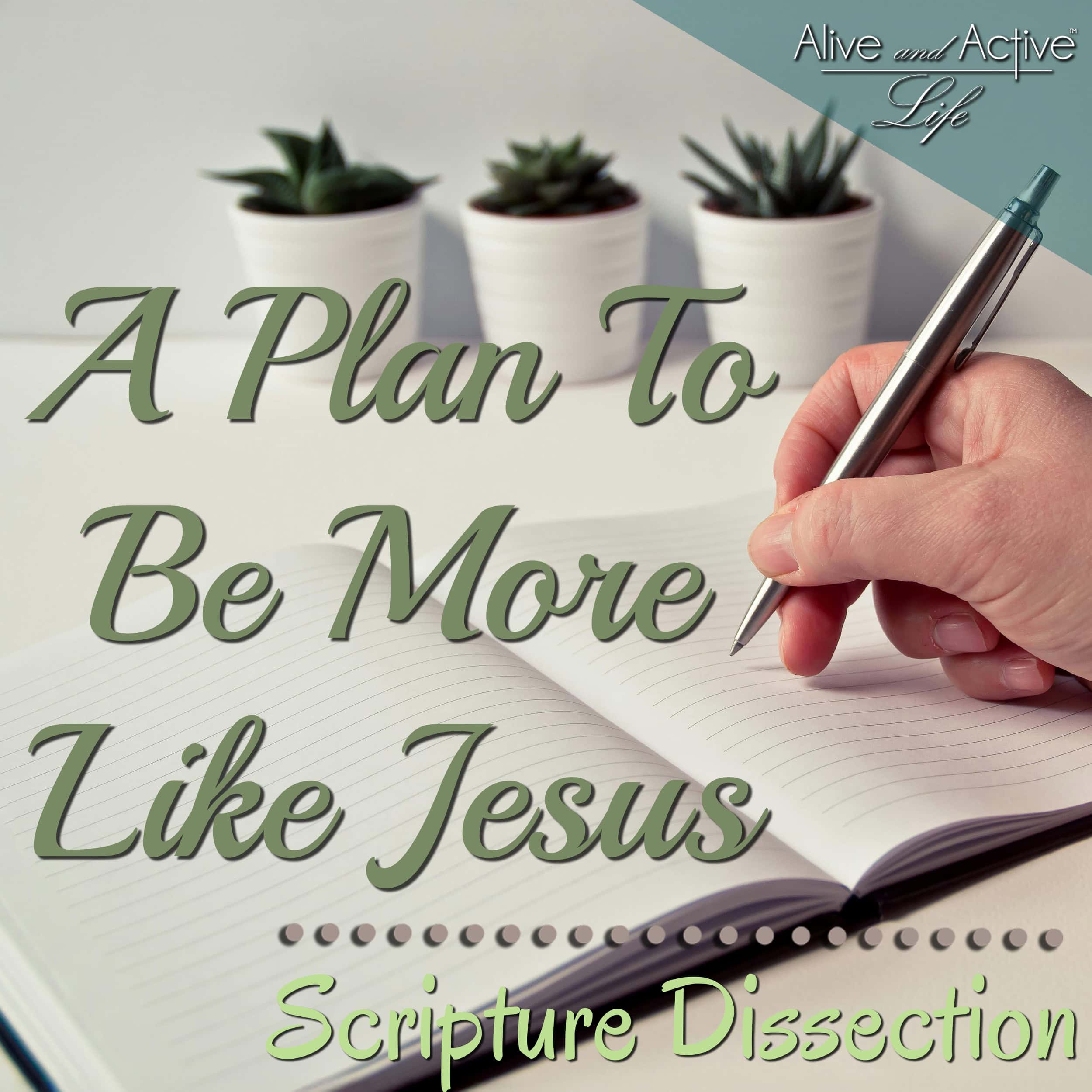 A Plan To Be More Like Jesus - Scripture Dissection