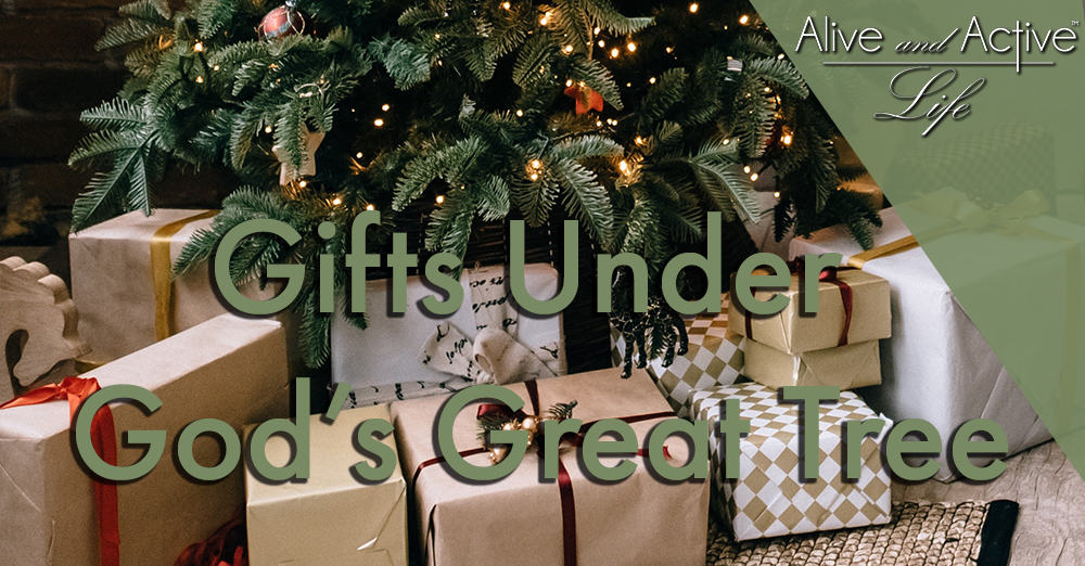 Gifts Under God’s Great Tree
