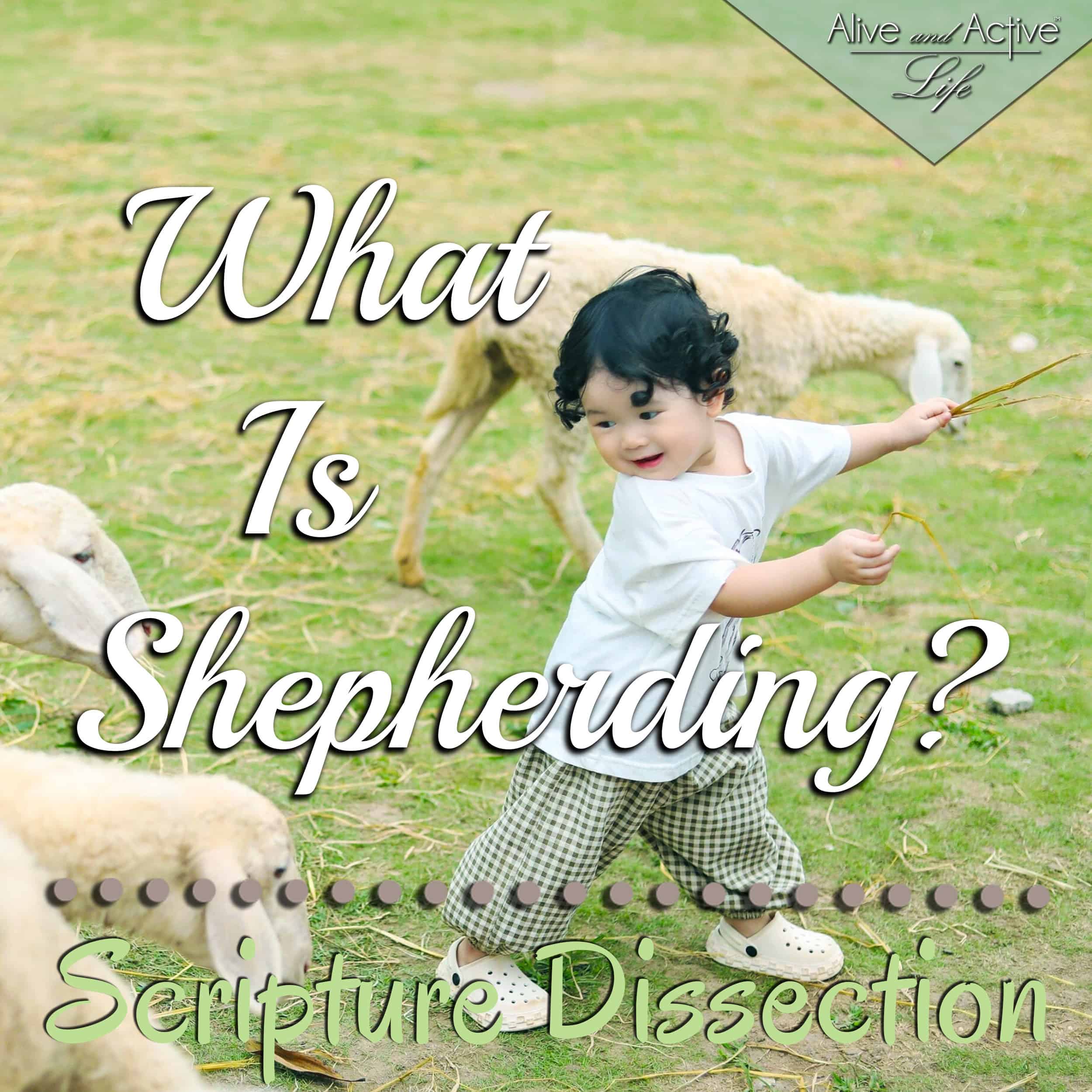 What Is Shepherding? - Scripture Dissection episode artwork