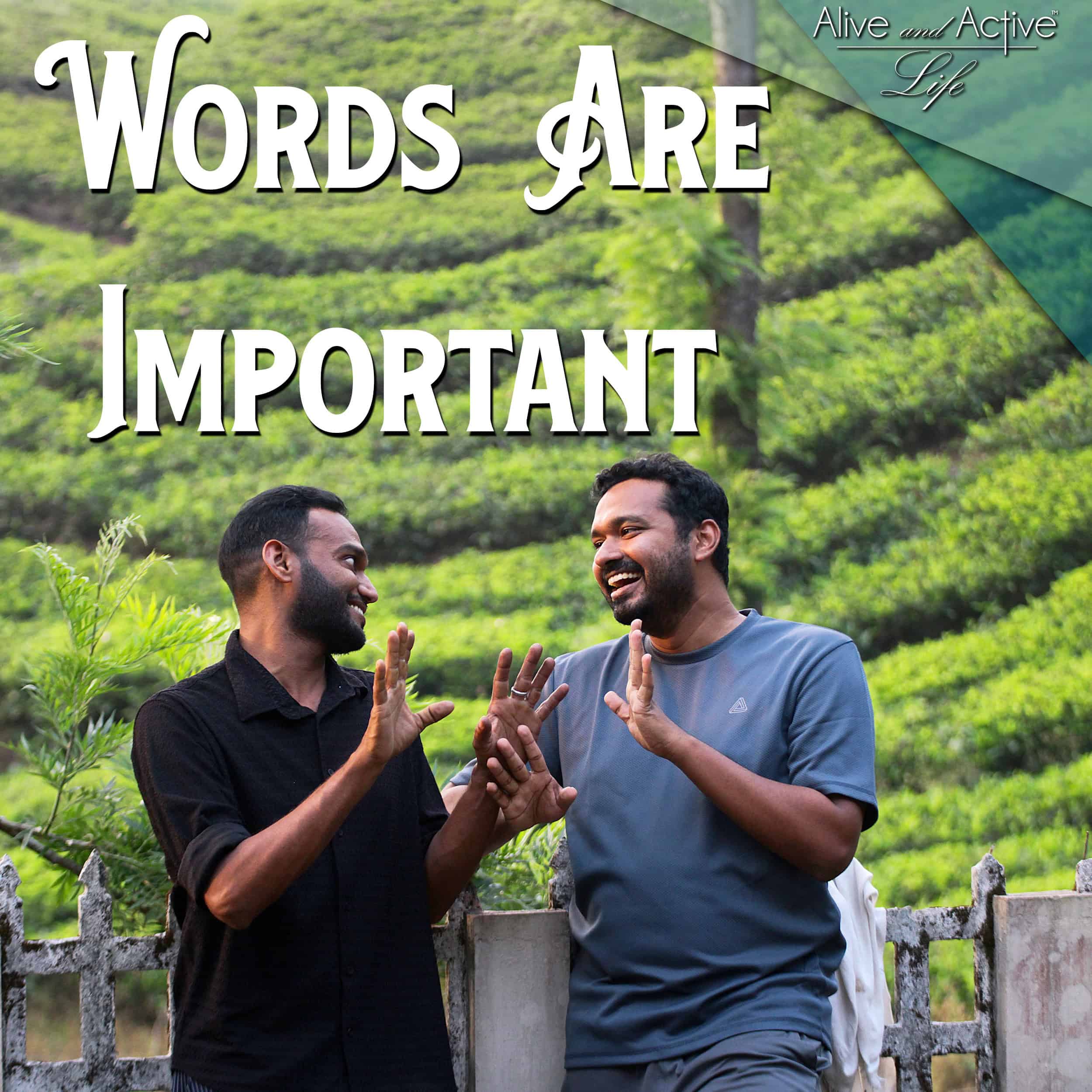 Words Are Important episode artwork