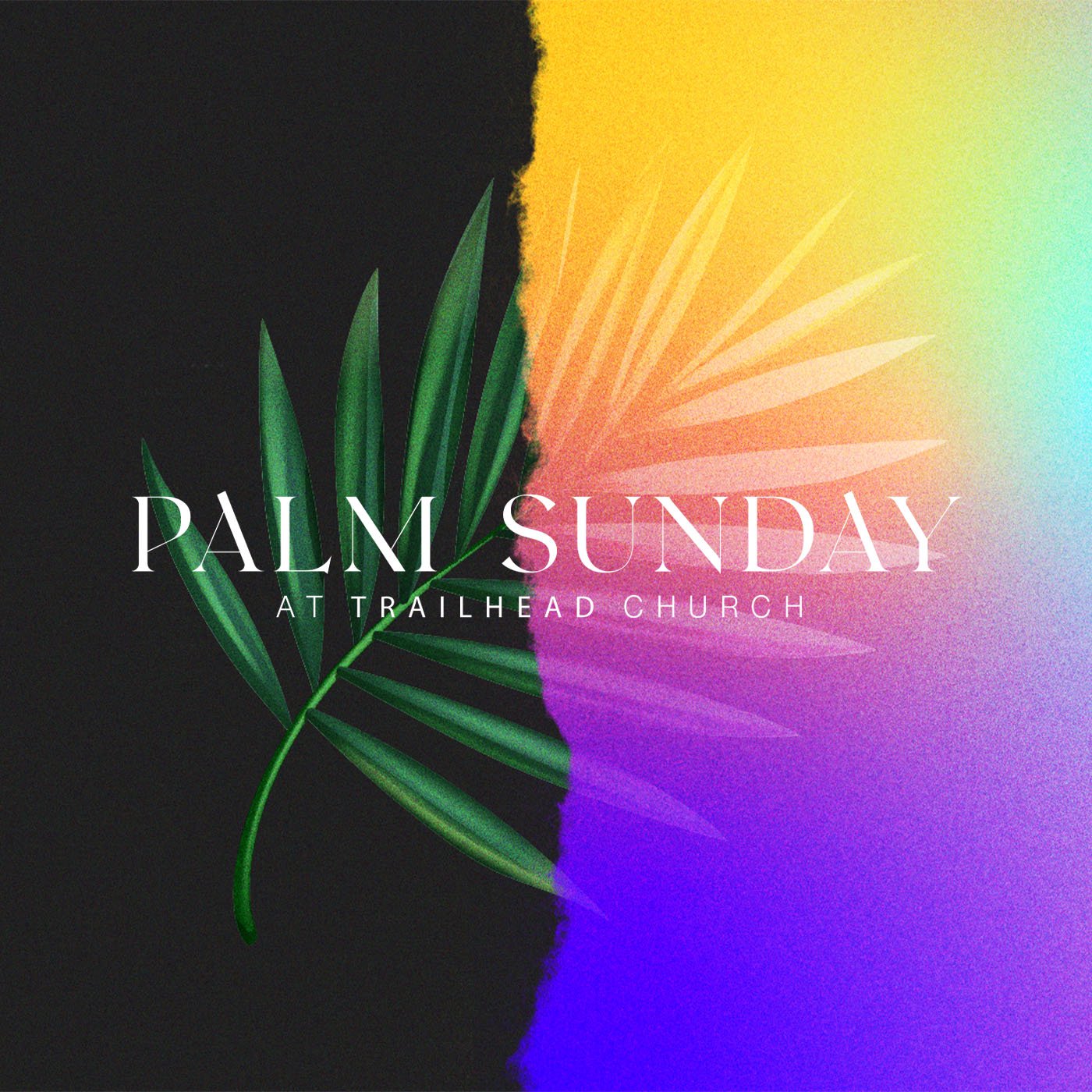 Palm Sunday 2025